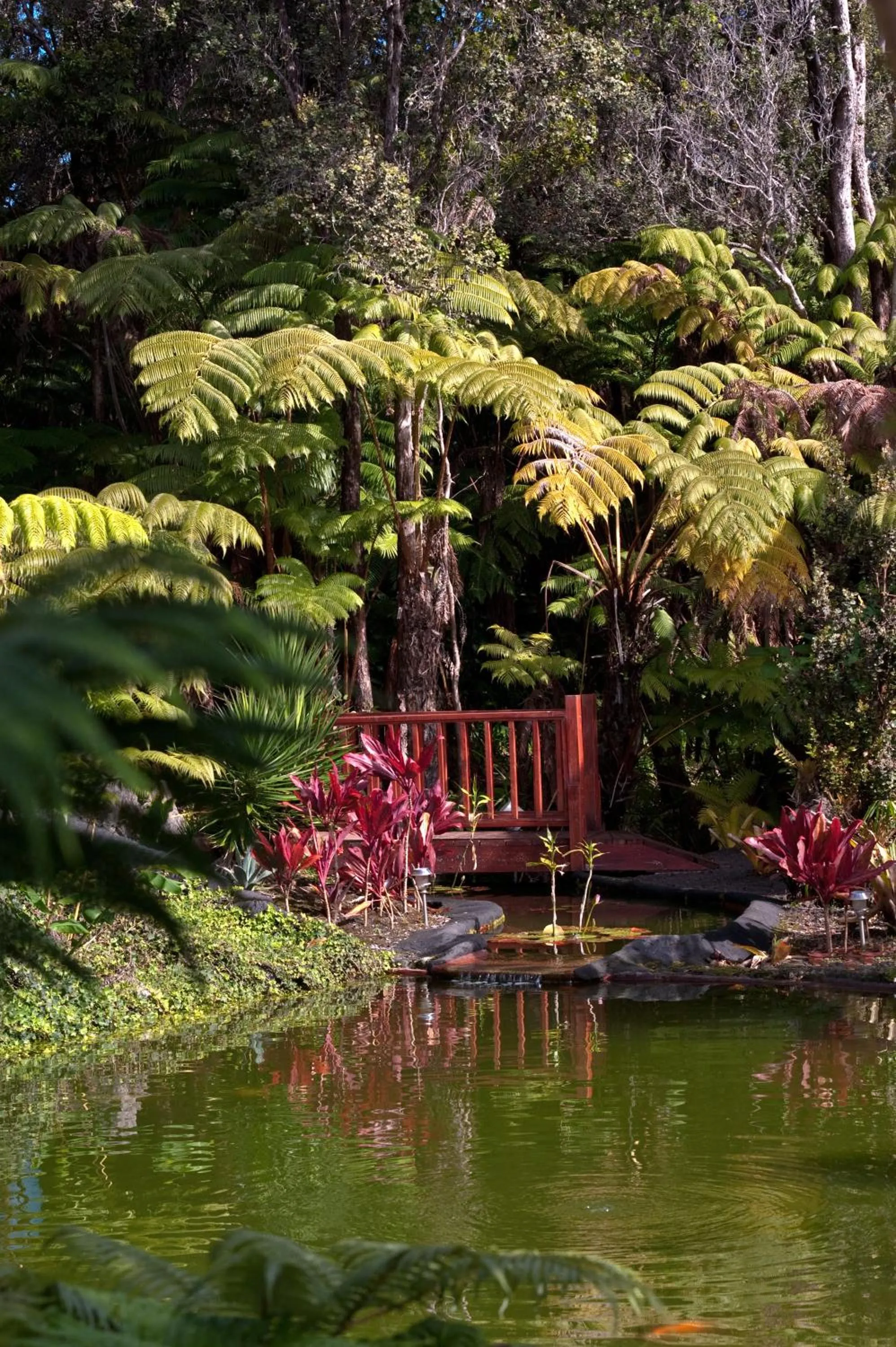 Garden in Chalet Kilauea