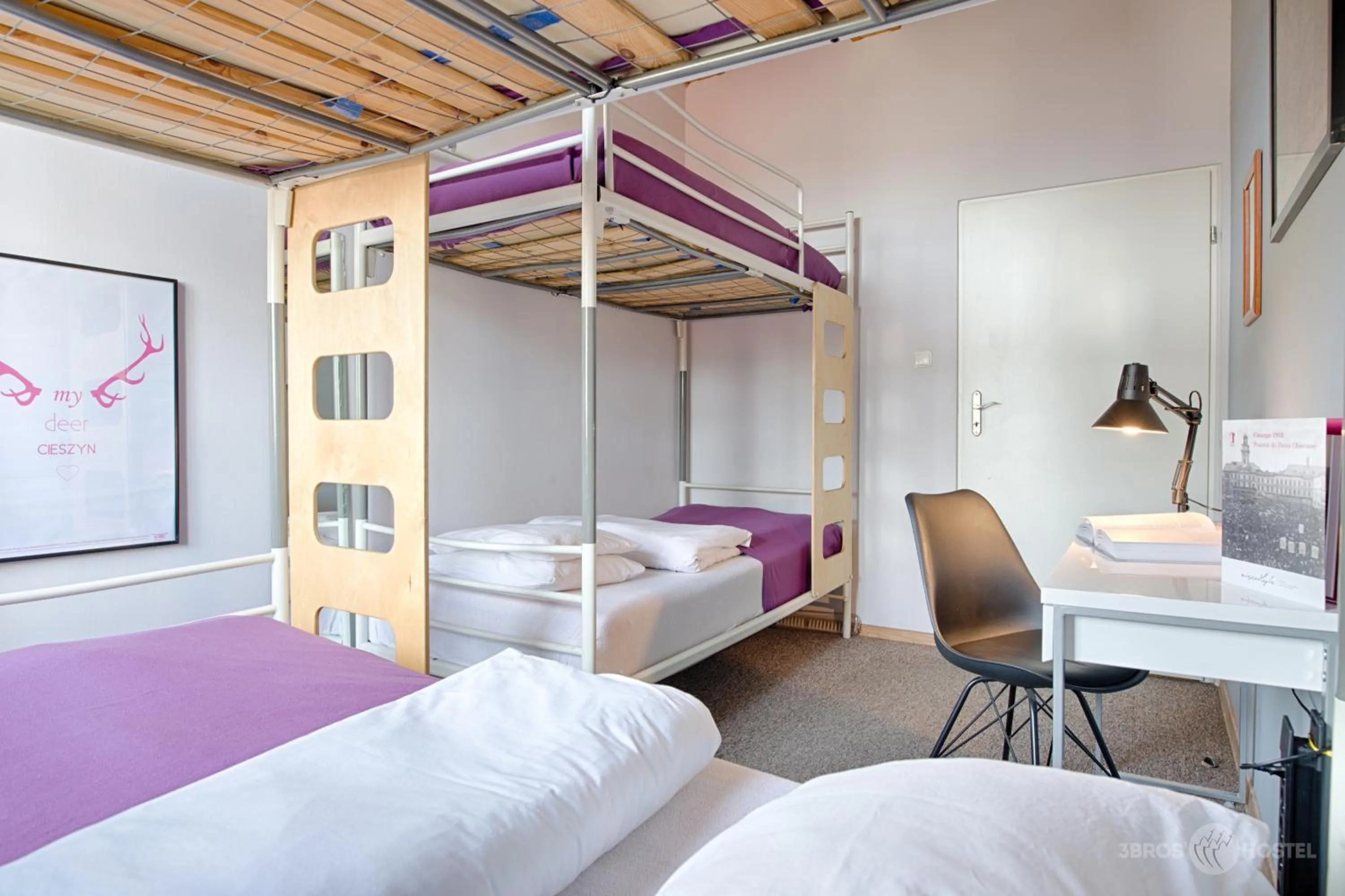 Photo of the whole room, Bed in 3 Bros' Hostel Cieszyn