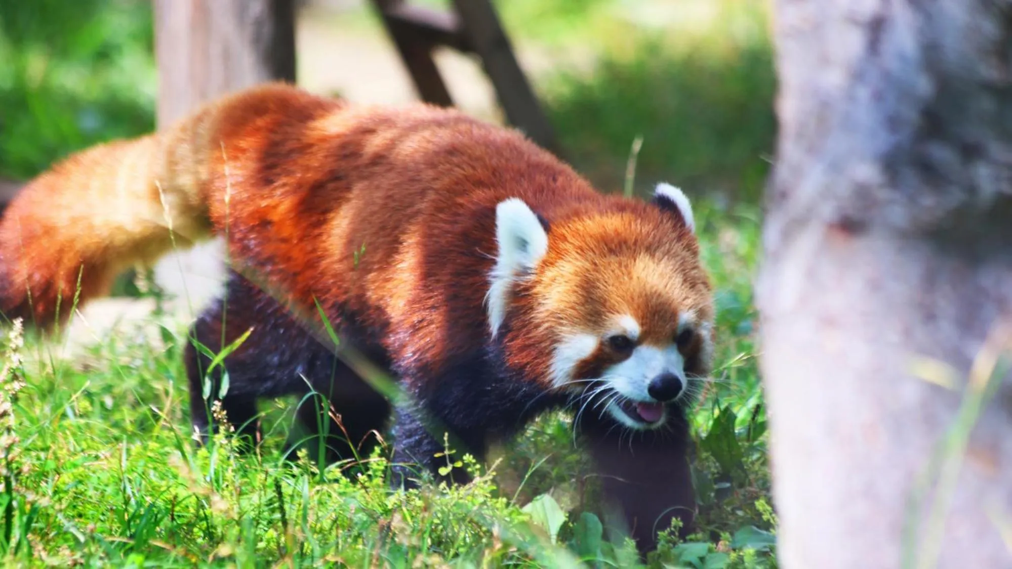Nearby landmark in Toyoko Inn Osaka Abeno Tennoji