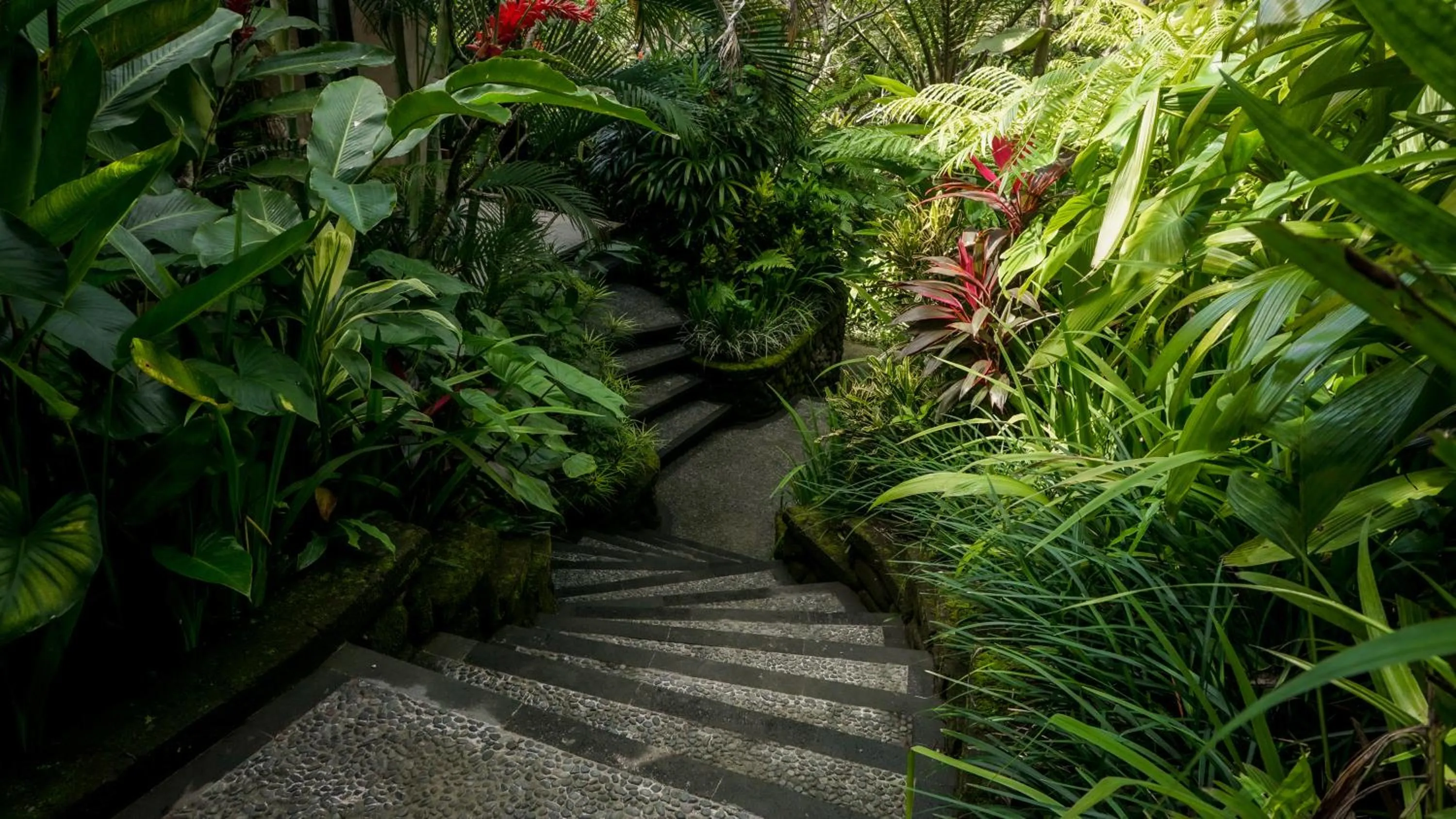 Property building in Sakti Garden Resort & Spa