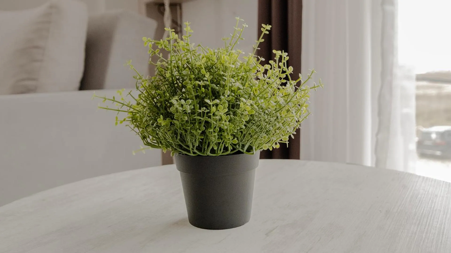 Decorative detail in Yalıköy Deniz Otel Istanbul