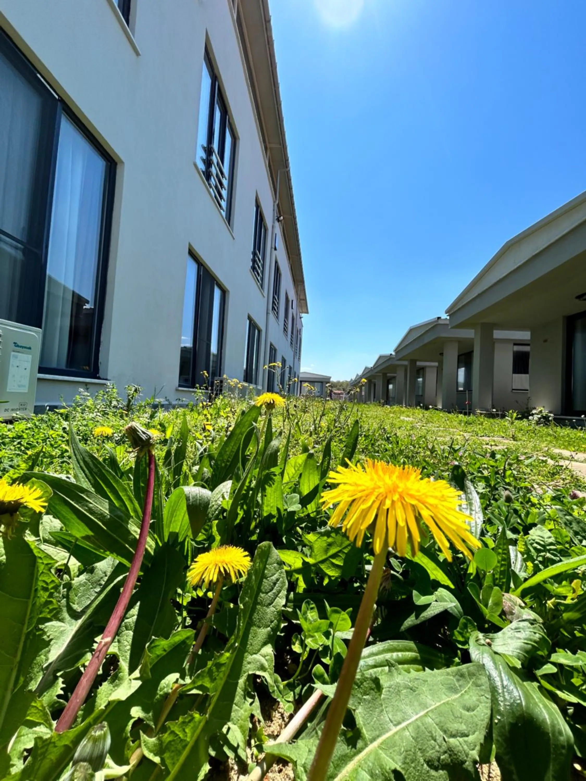Property building in Yalıköy Deniz Otel Istanbul