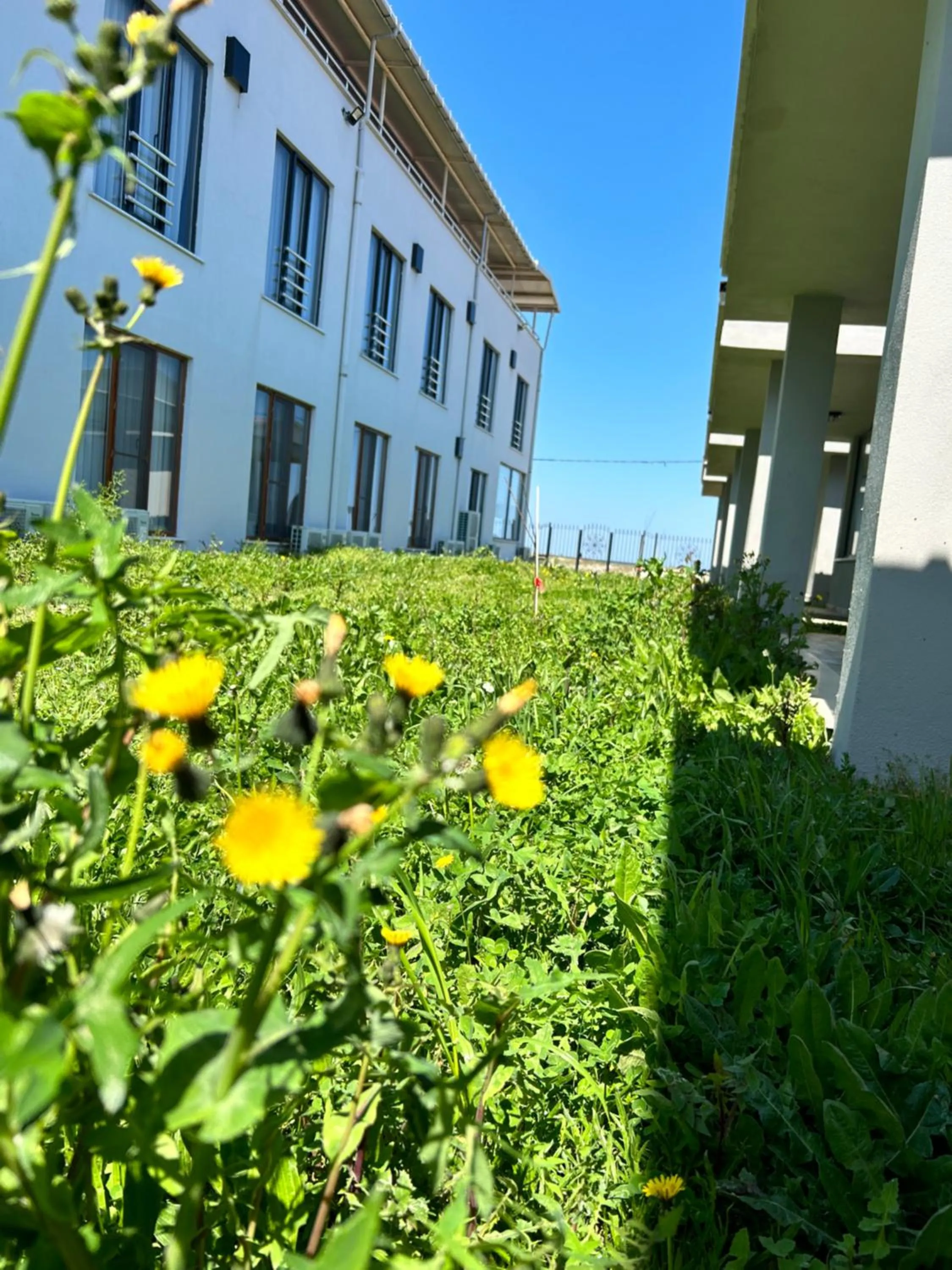 Garden in Yalıköy Deniz Otel Istanbul
