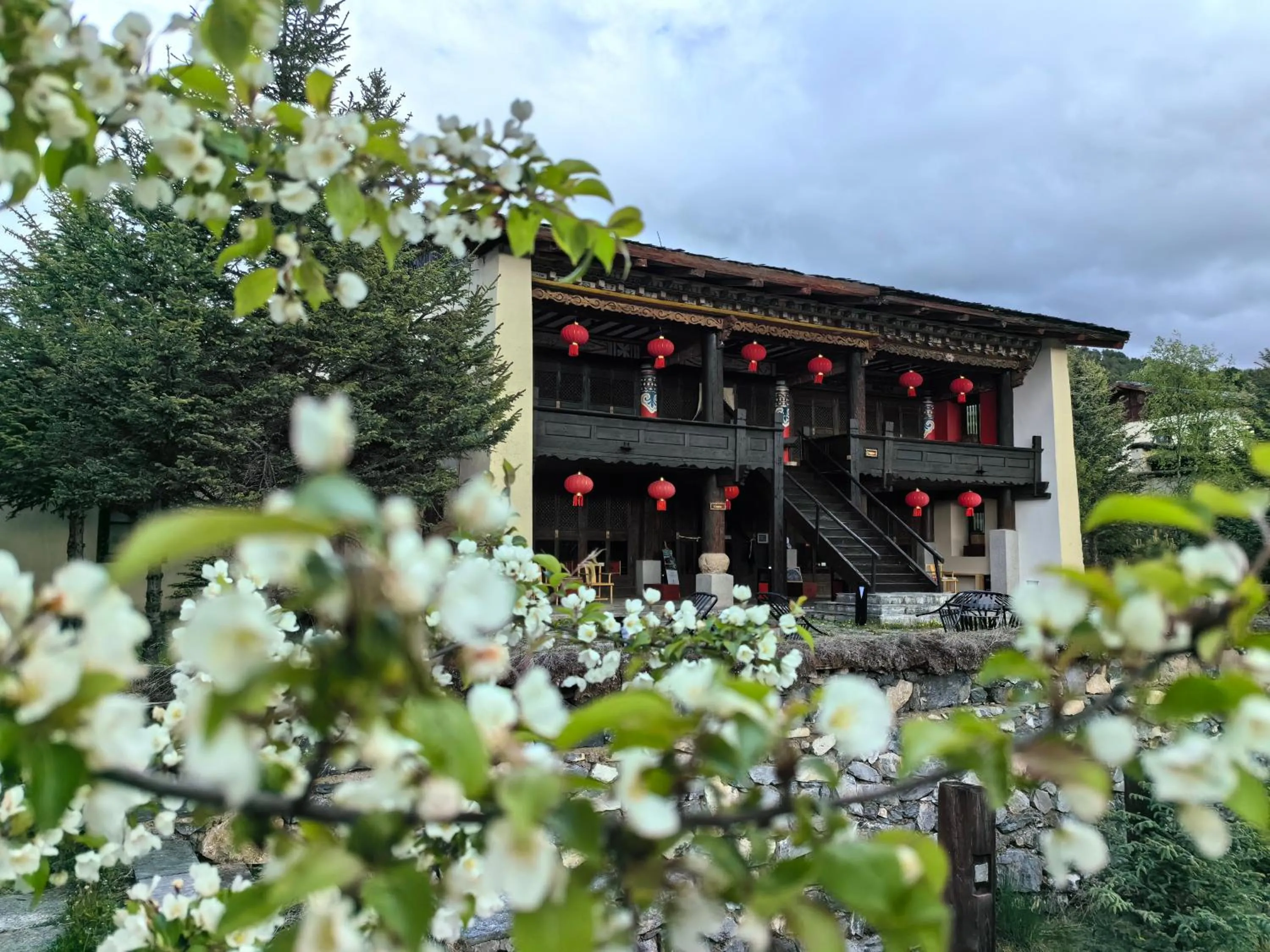 Property building in Banyan Tree Ringha