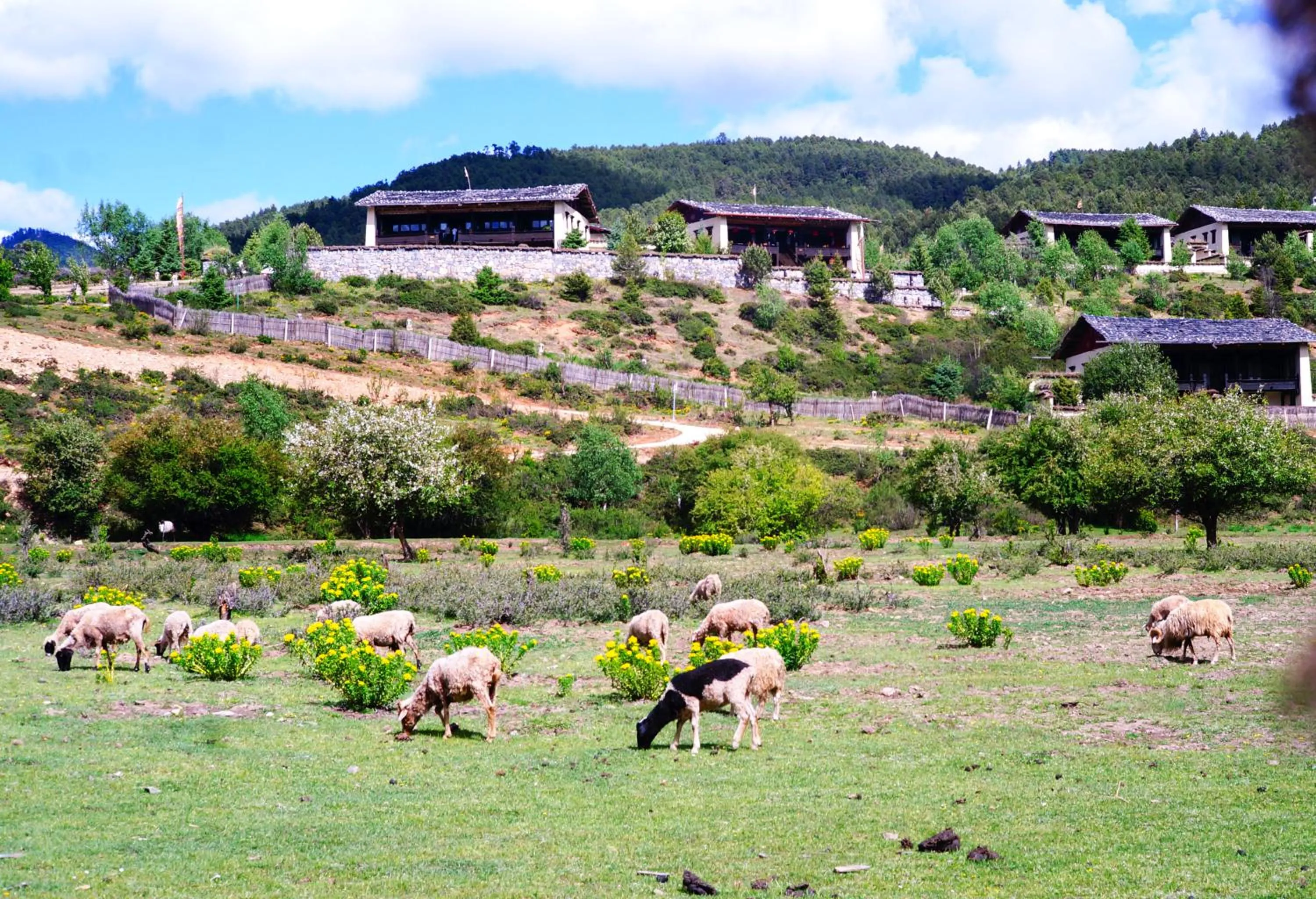 Property building in Banyan Tree Ringha