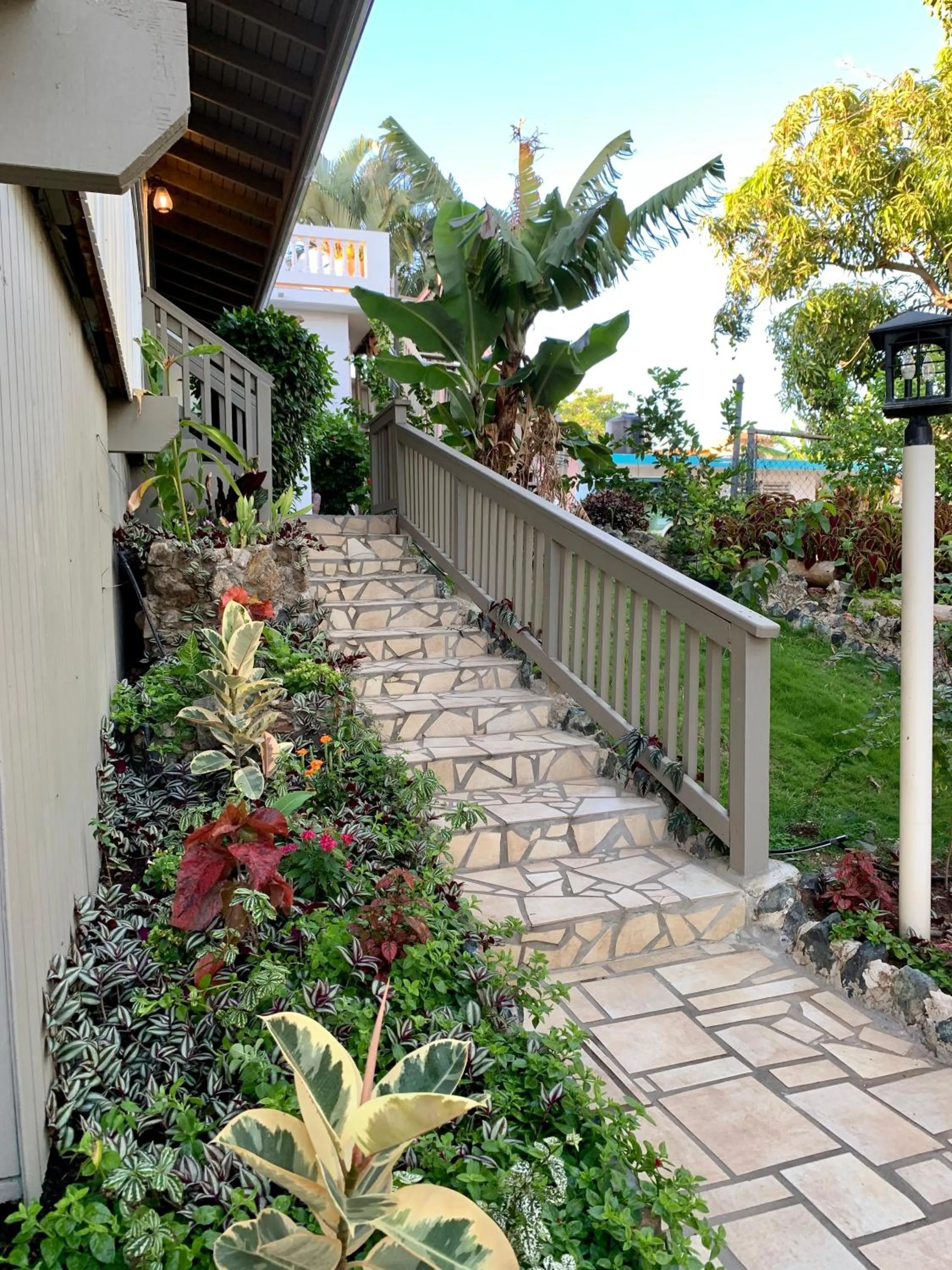 Garden in Lazy Parrot Inn