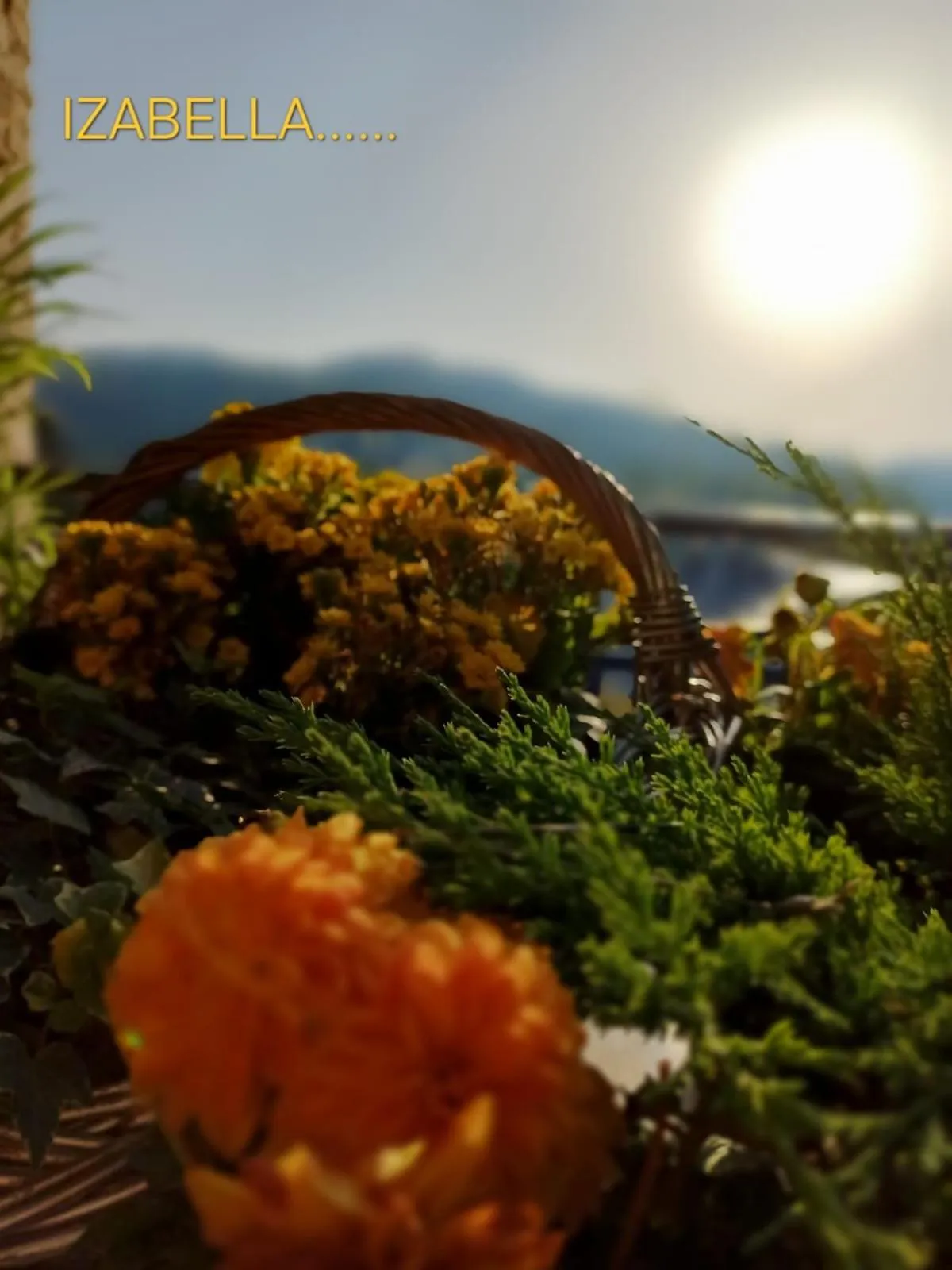 Property building in Rezydencja Izabella