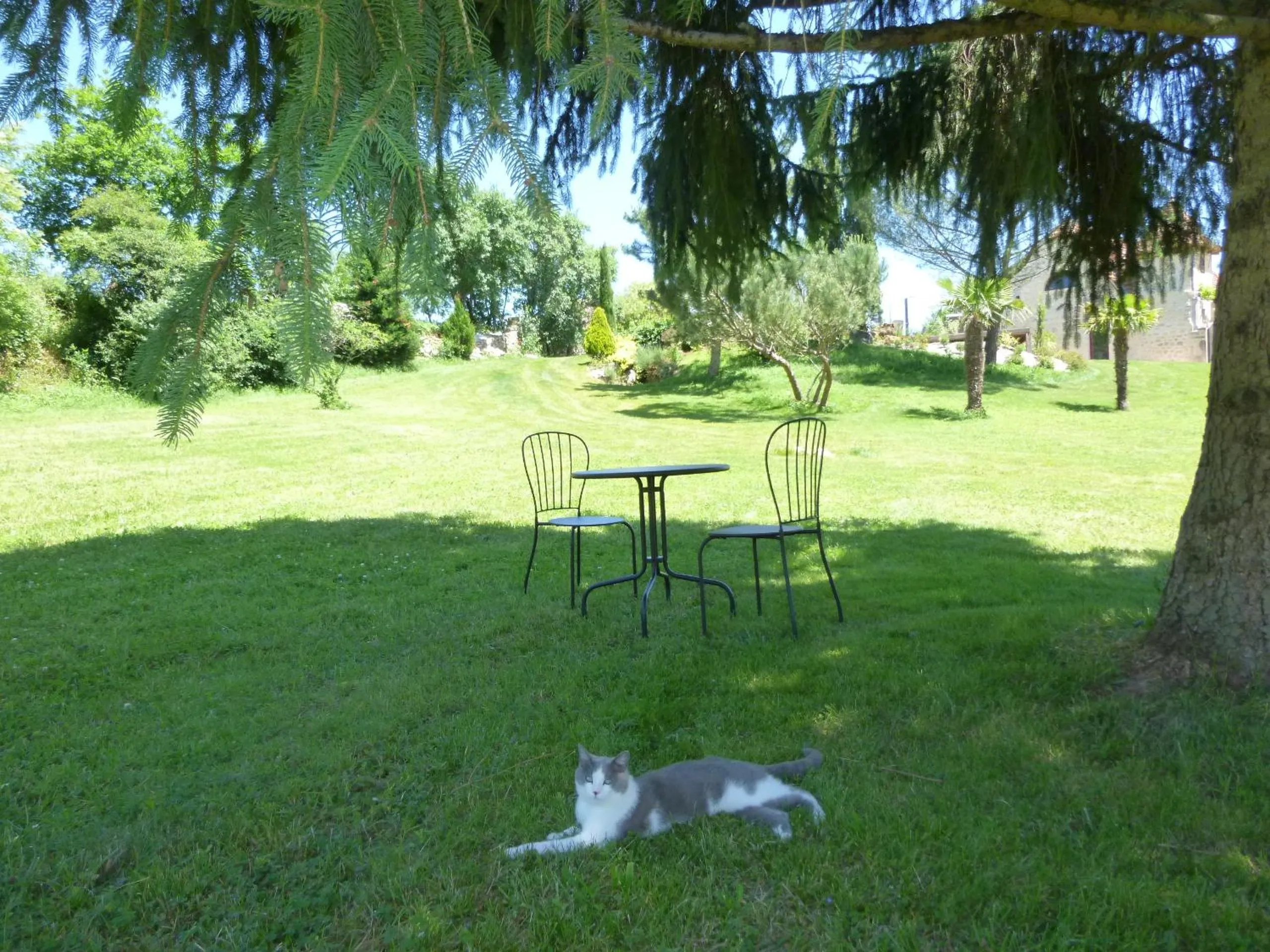 Pets in Au Mas de Gamet