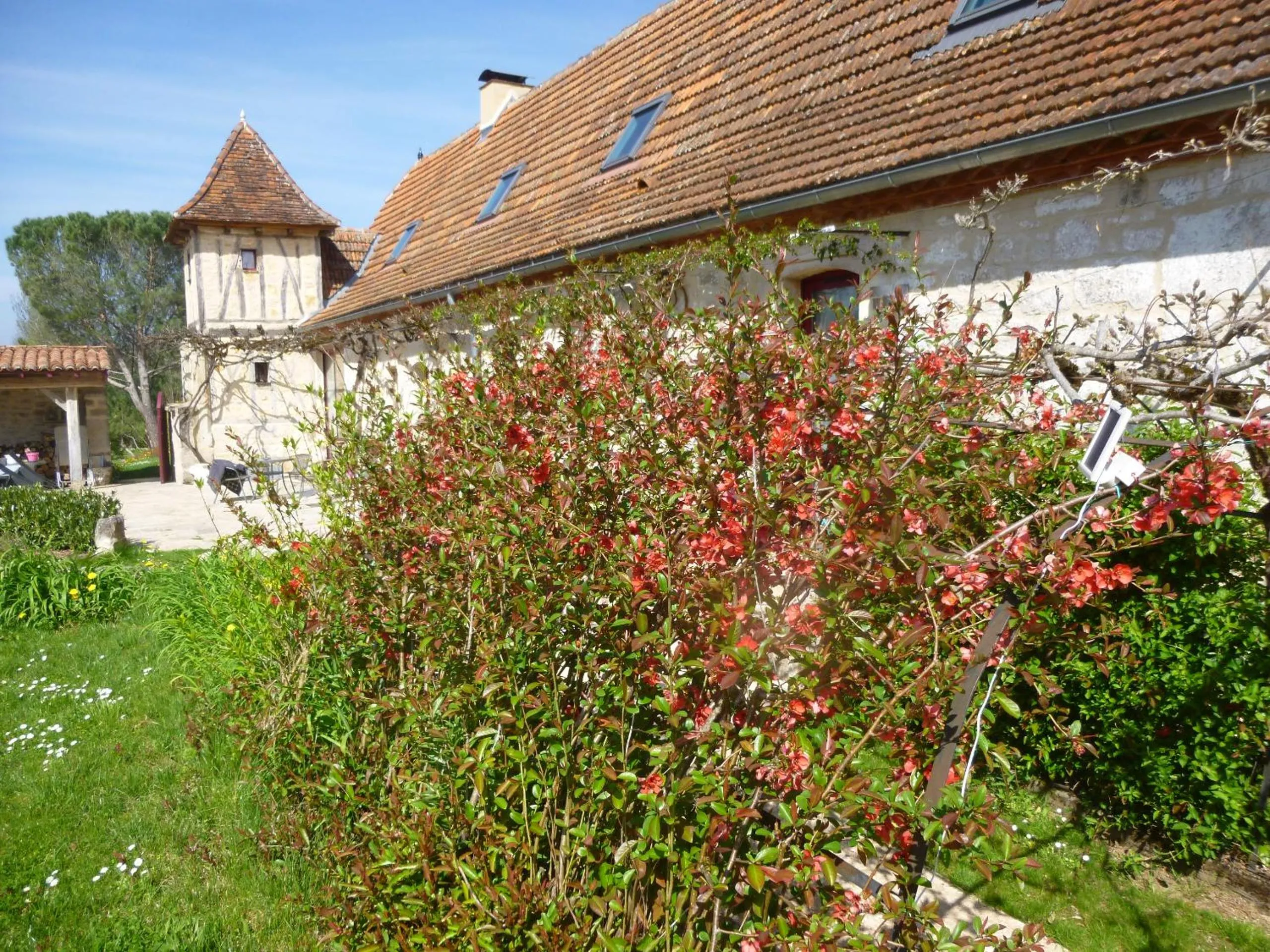Garden in Au Mas de Gamet