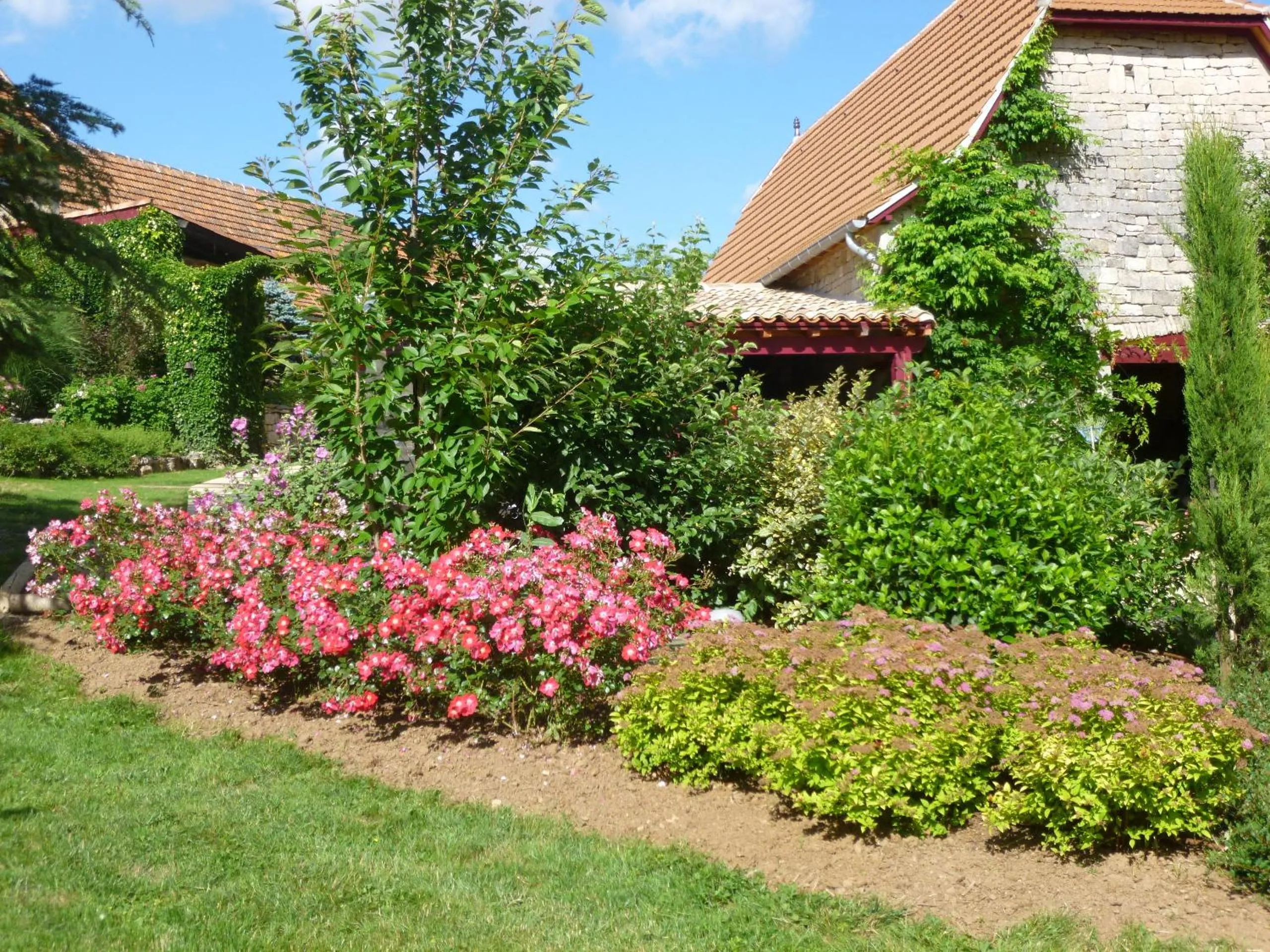Garden view in Au Mas de Gamet