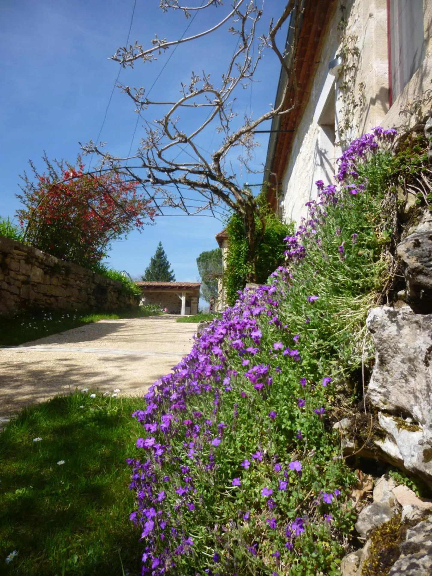 Garden in Au Mas de Gamet