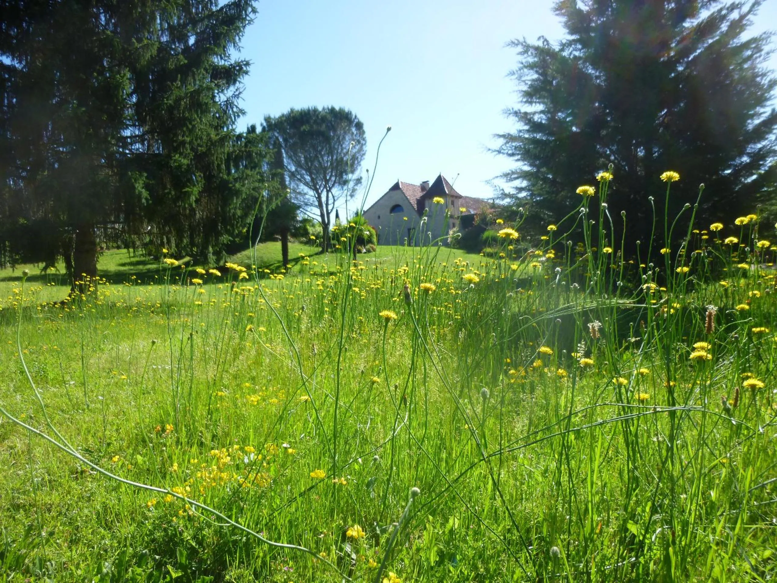 Garden in Au Mas de Gamet