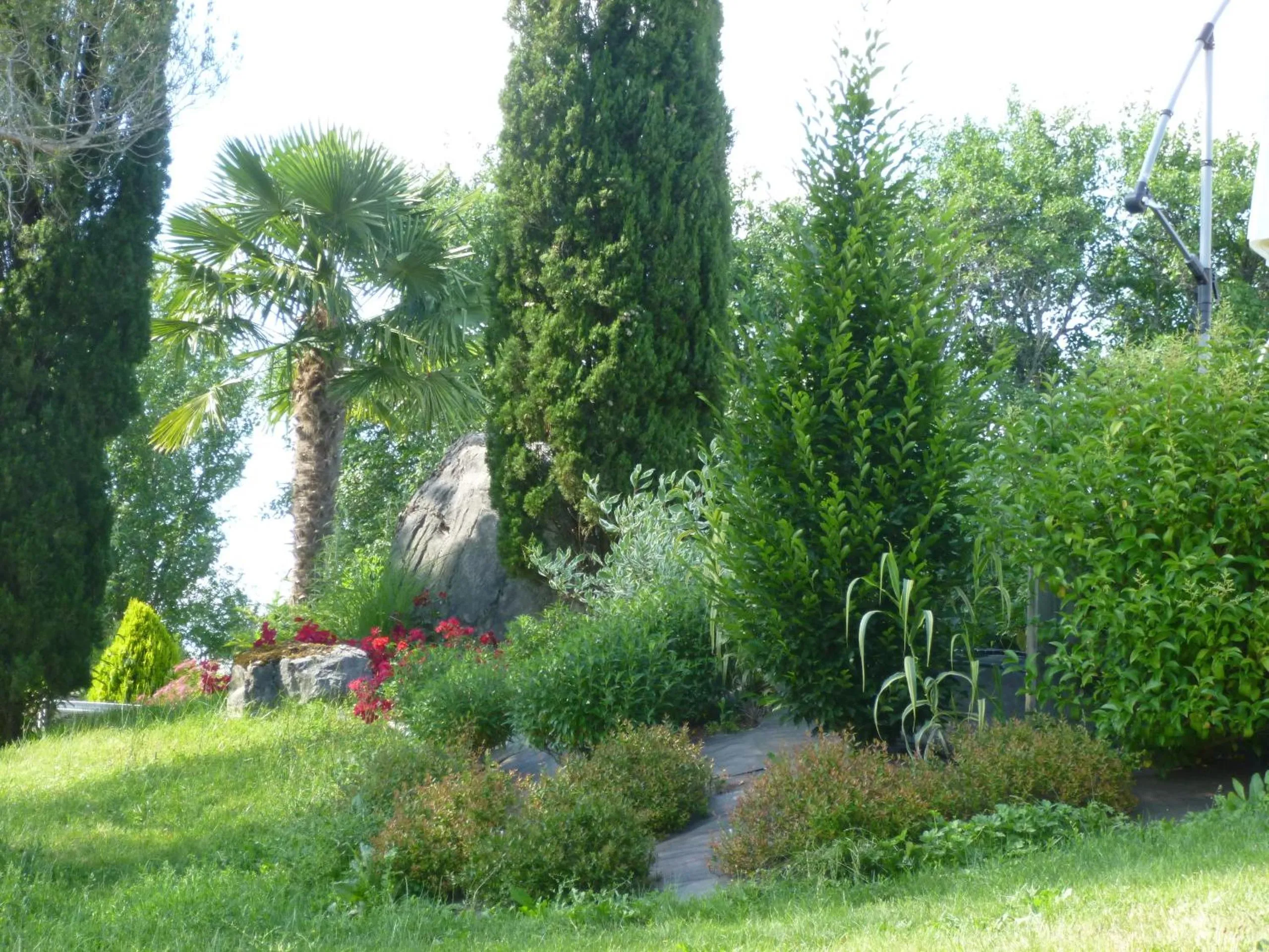 Garden view in Au Mas de Gamet