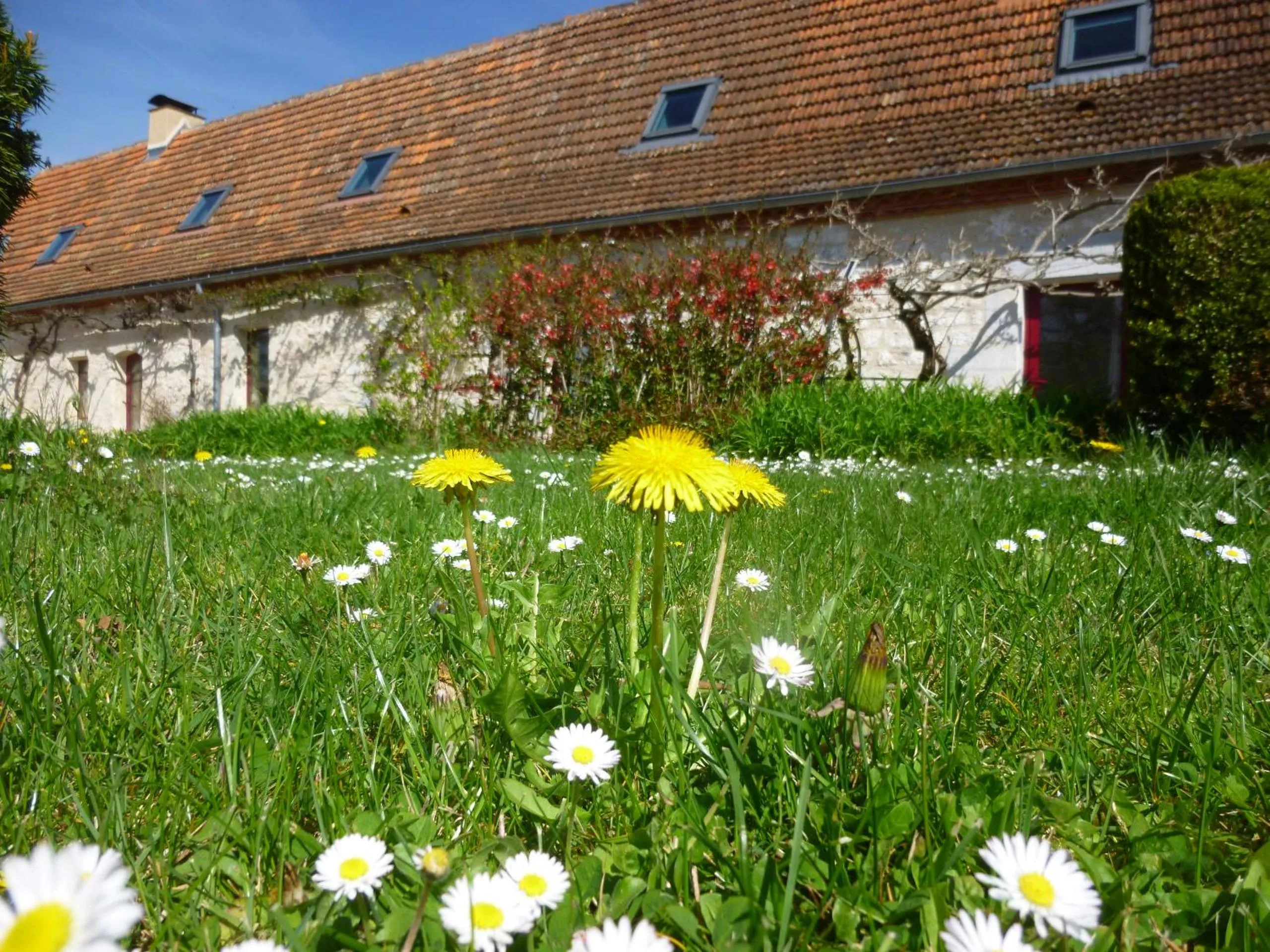 Garden in Au Mas de Gamet