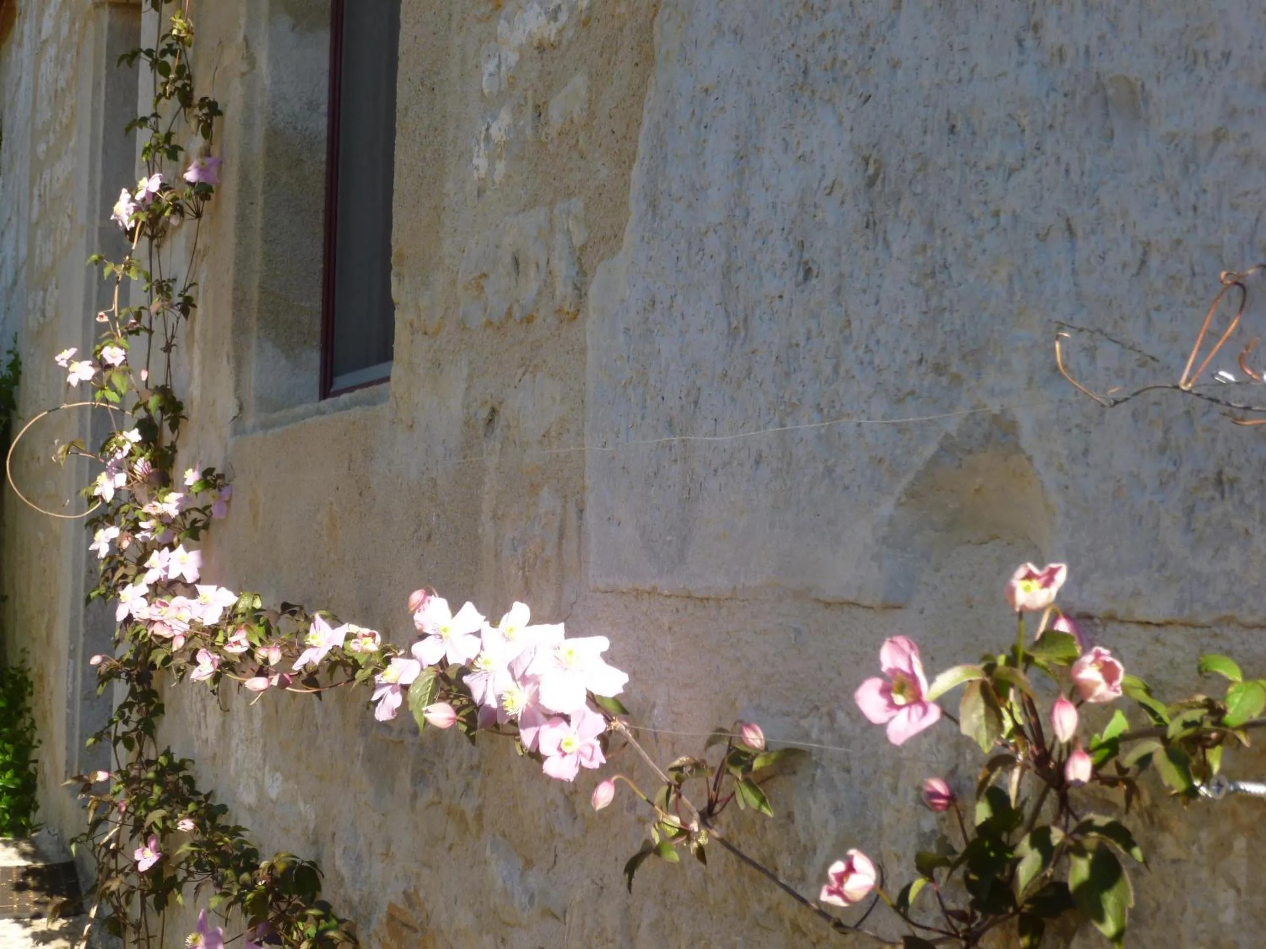 Garden in Au Mas de Gamet