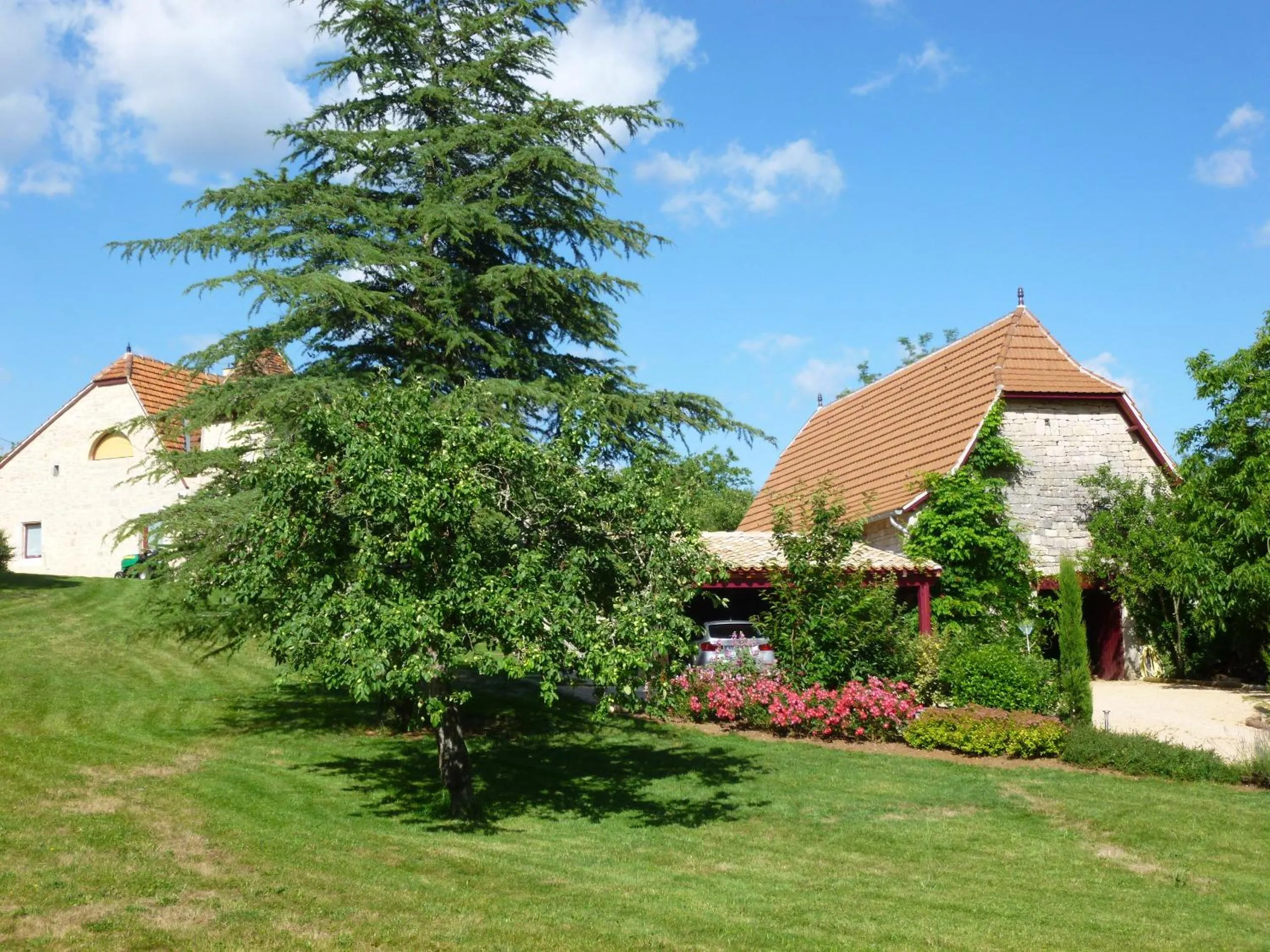 Garden view in Au Mas de Gamet