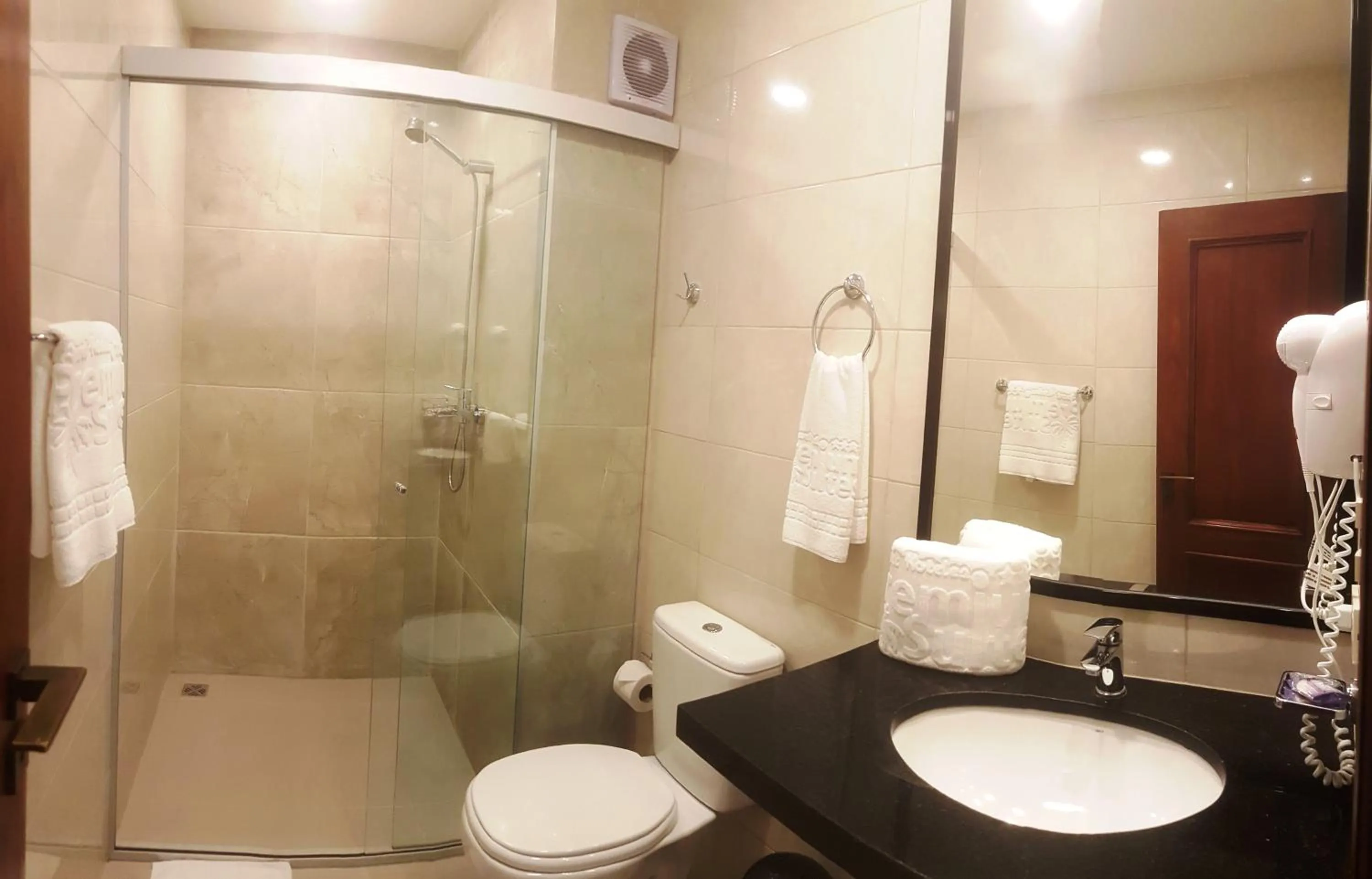 Bathroom in Premium Suites Deluxe Aparthotel Equipetrol