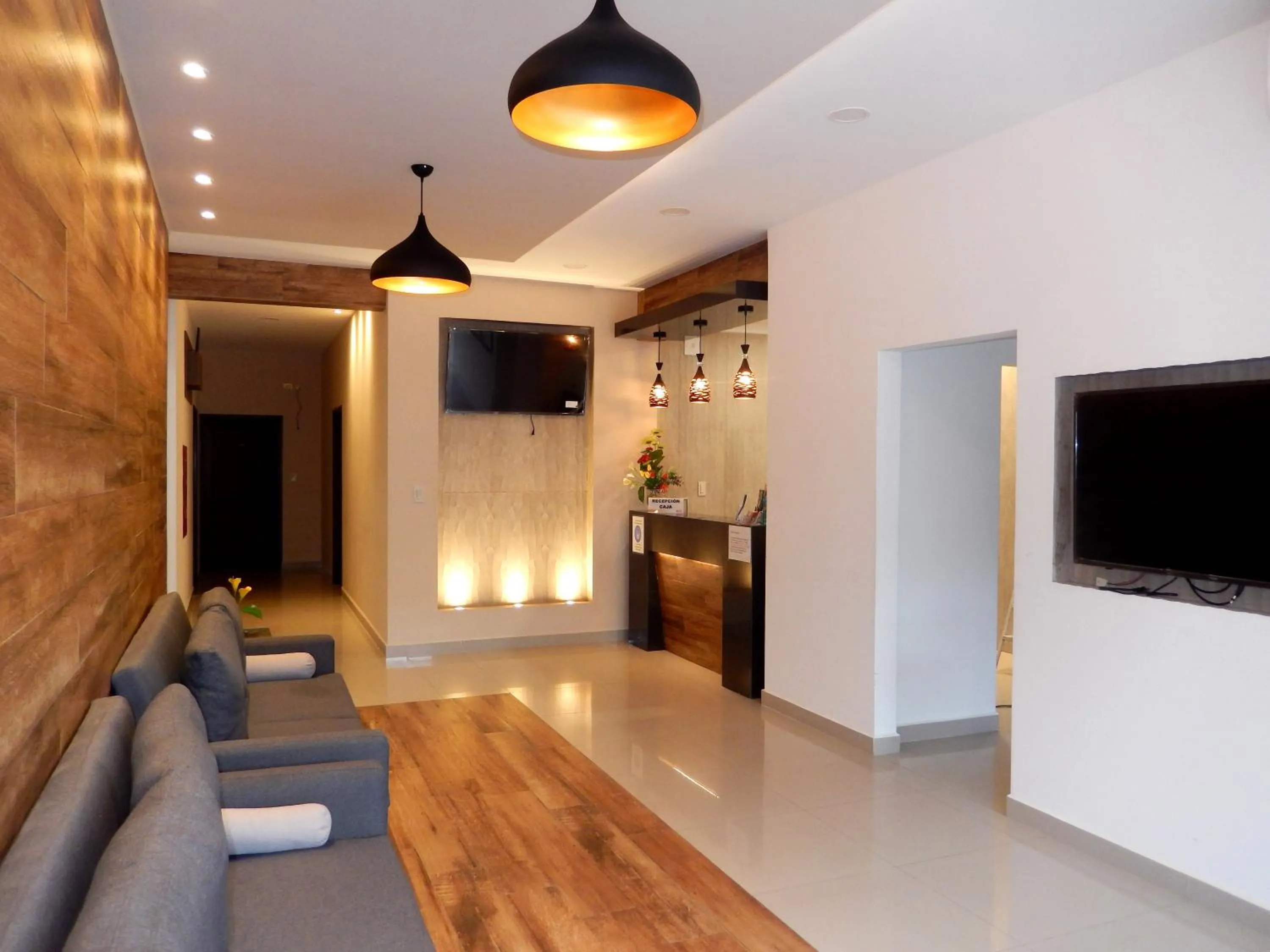 Communal lounge/ TV room in Premium Suites Deluxe Aparthotel Equipetrol