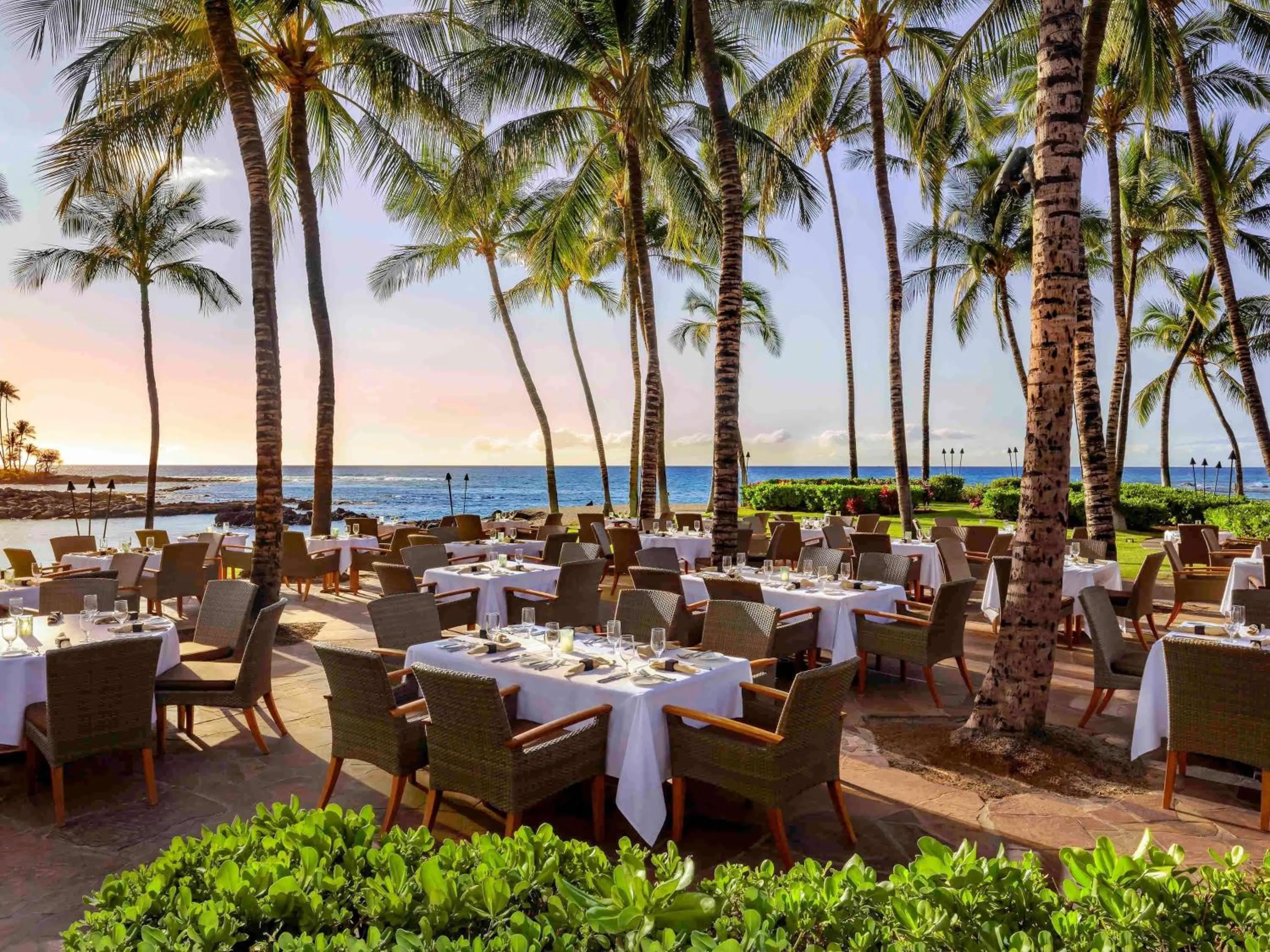 Restaurant/places to eat in Fairmont Orchid
