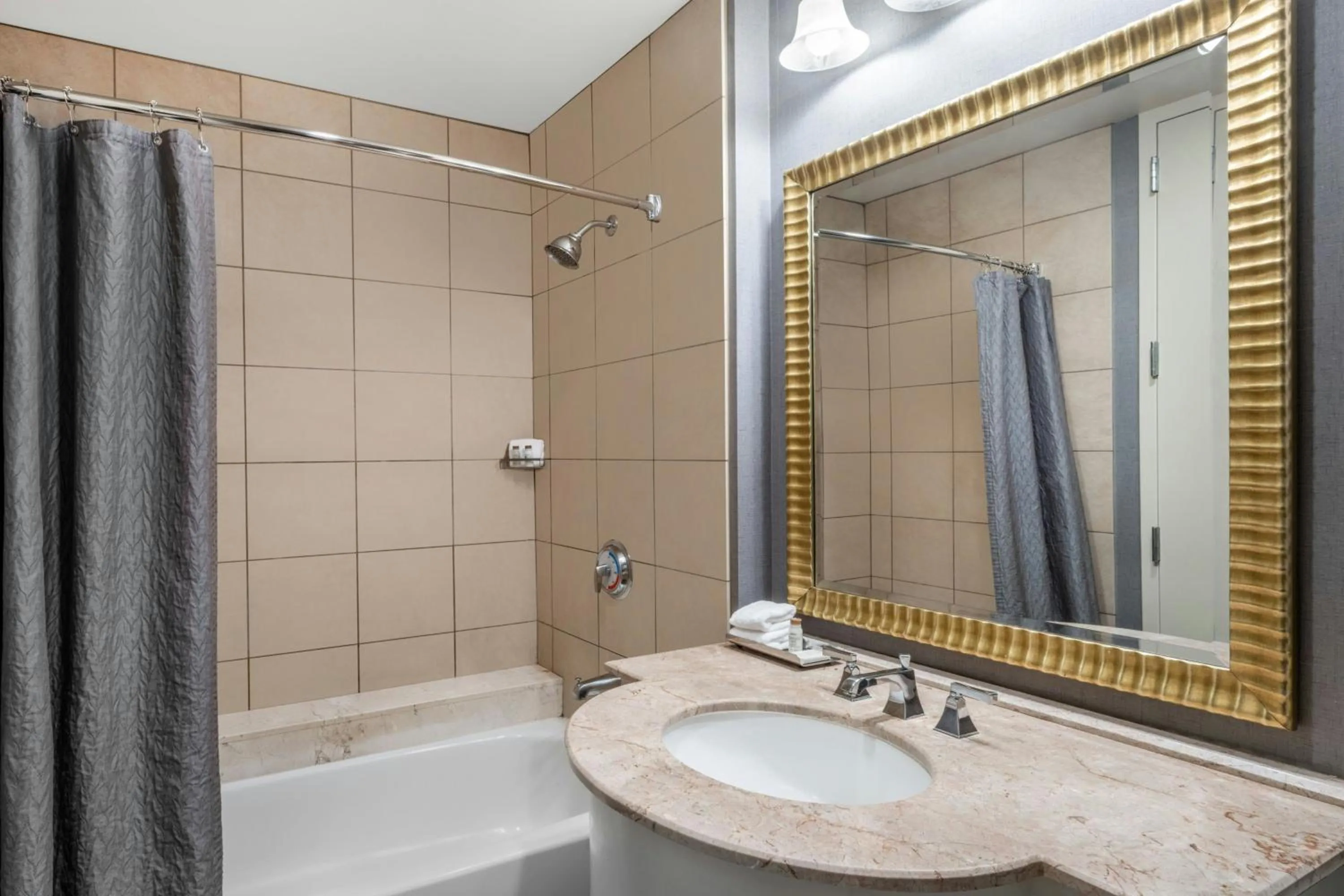 Bathroom in Renaissance Dallas North Hotel