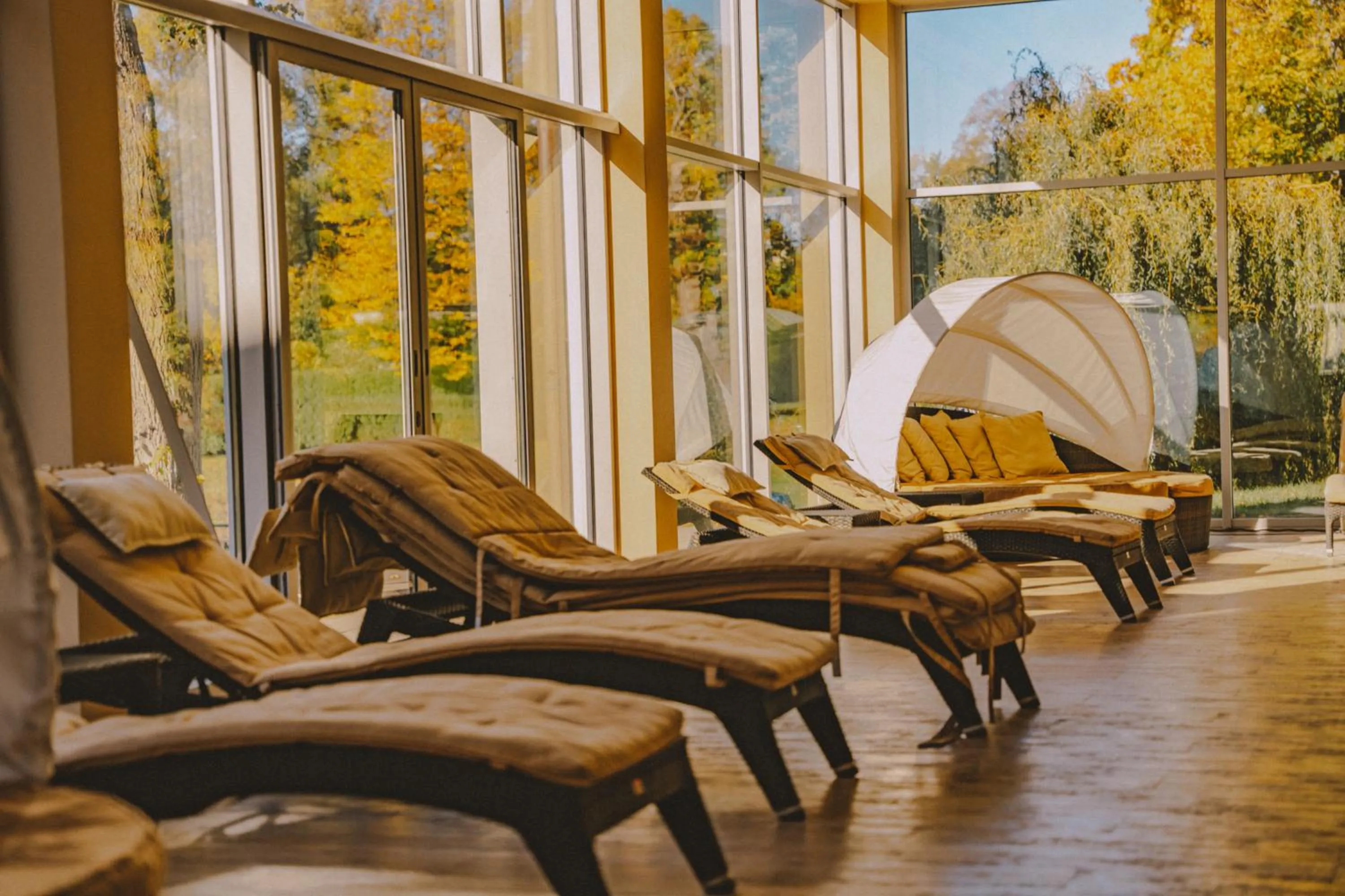 Spa and wellness centre/facilities in Pałac Żelechów Spa & Wellness