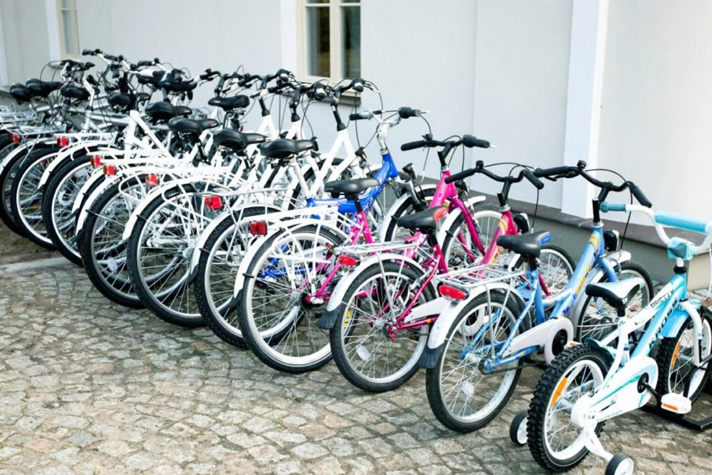 Decorative detail in Pałac Żelechów Spa & Wellness