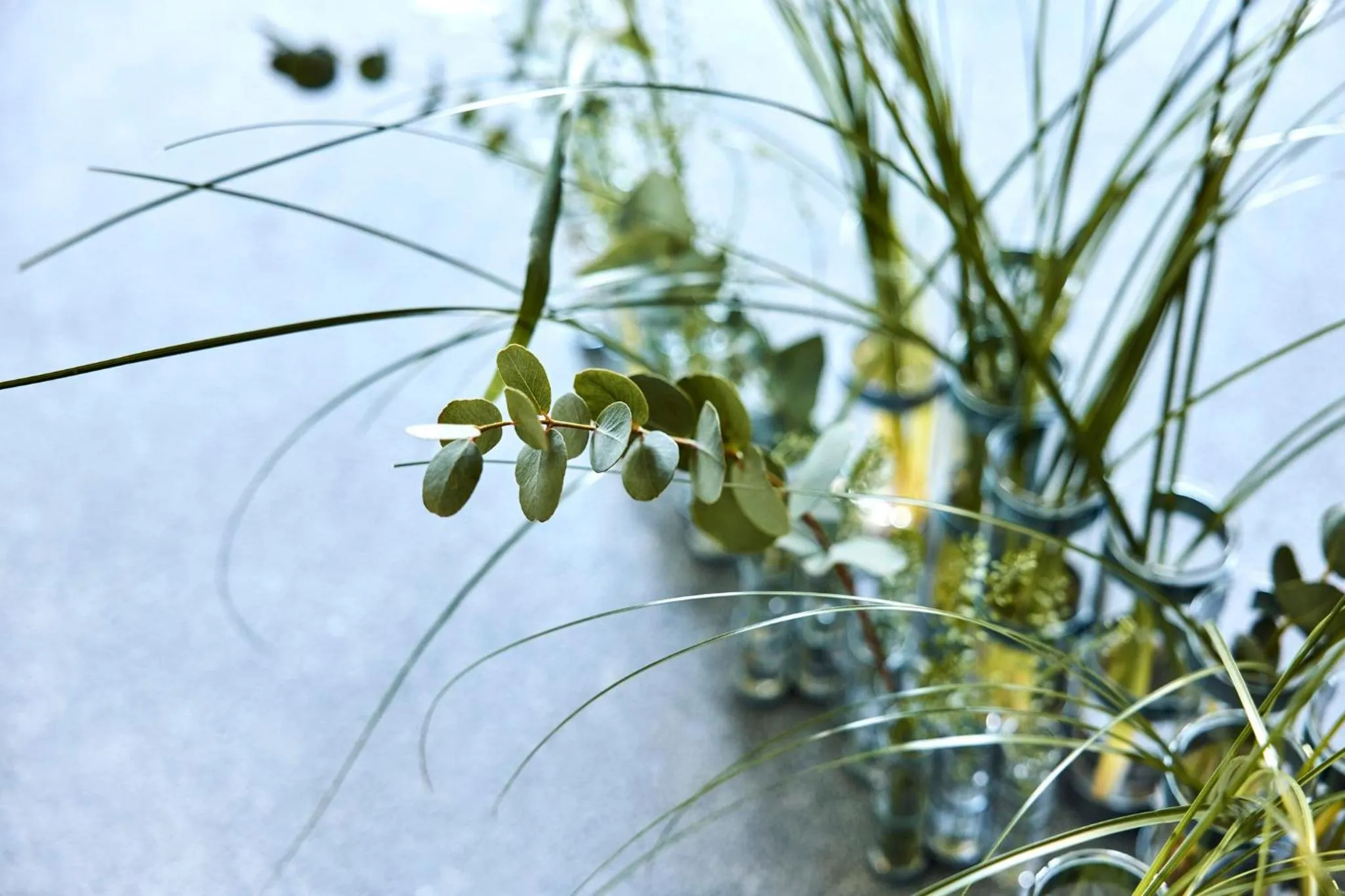 Logo/Certificate/Sign in COMO Le Montrachet