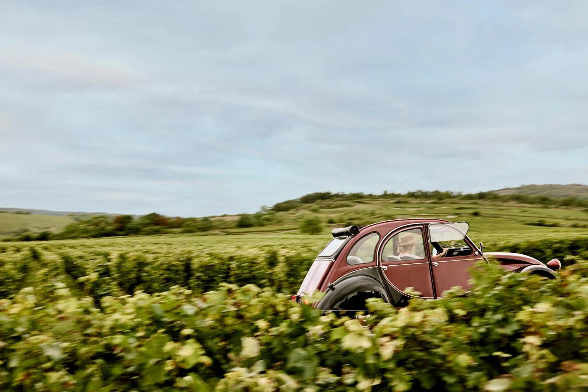 Property building in COMO Le Montrachet