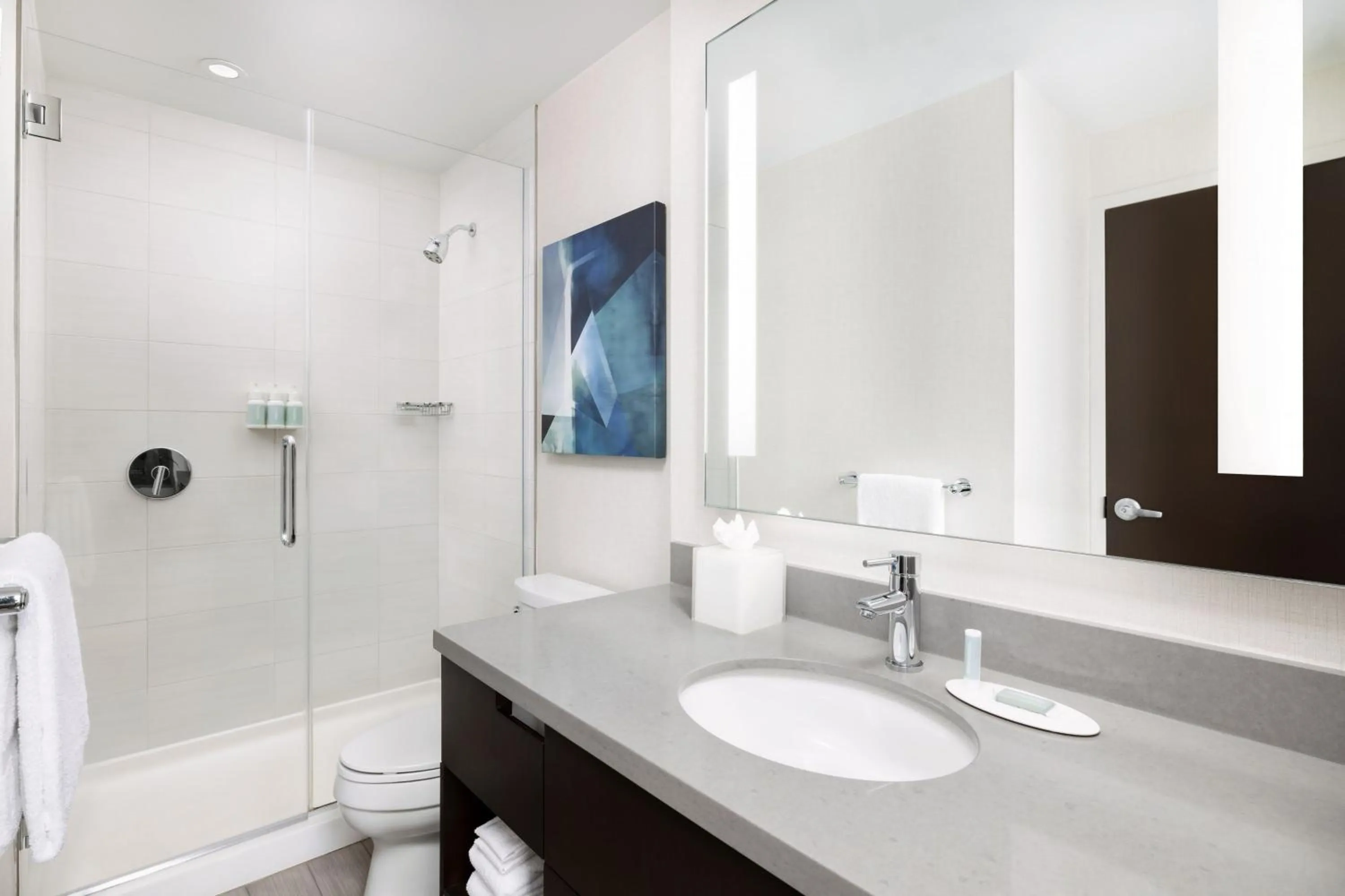 Bathroom in Residence Inn by Marriott New York Downtown Manhattan/World Trade Center Area