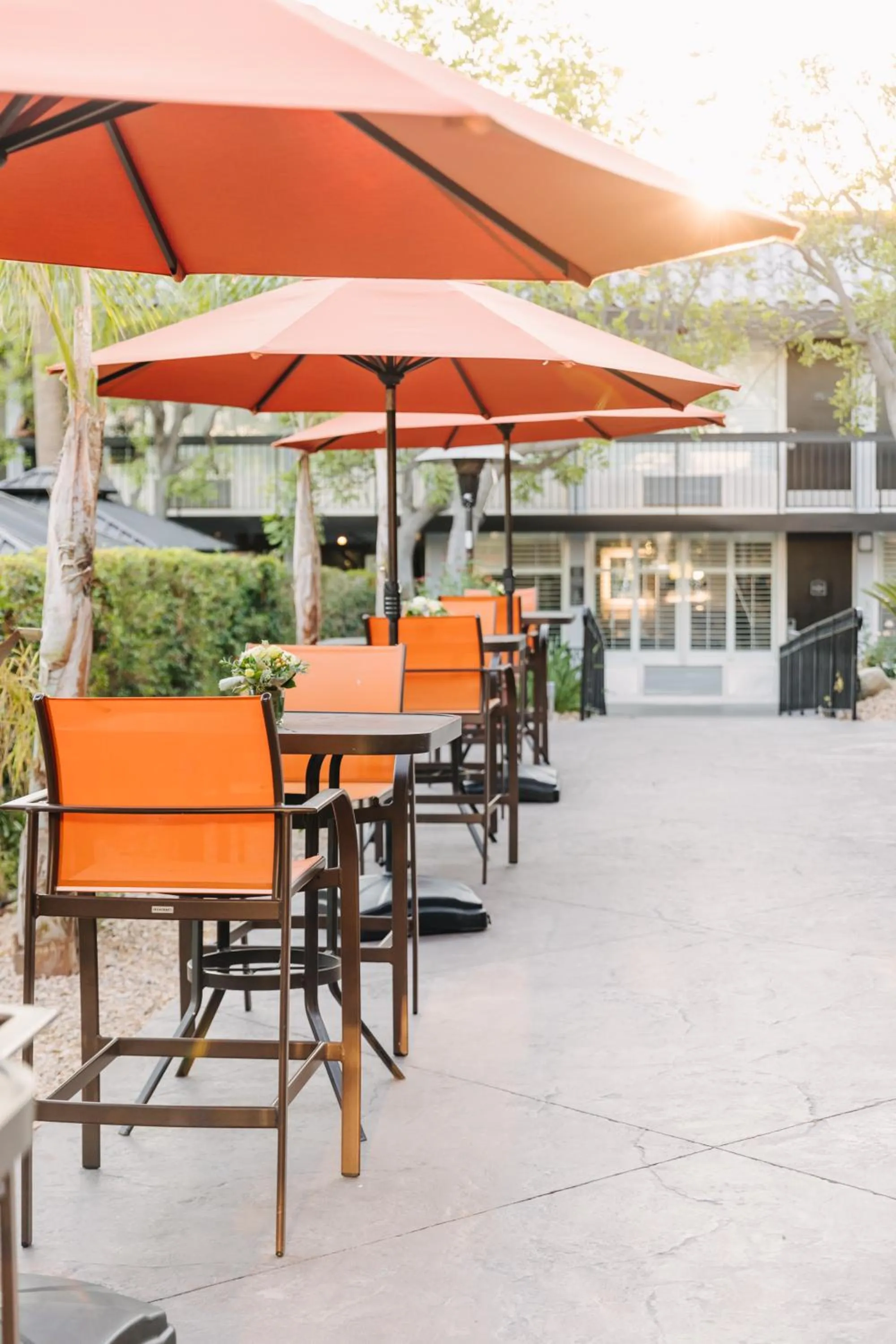 Patio in Palm Garden Hotel