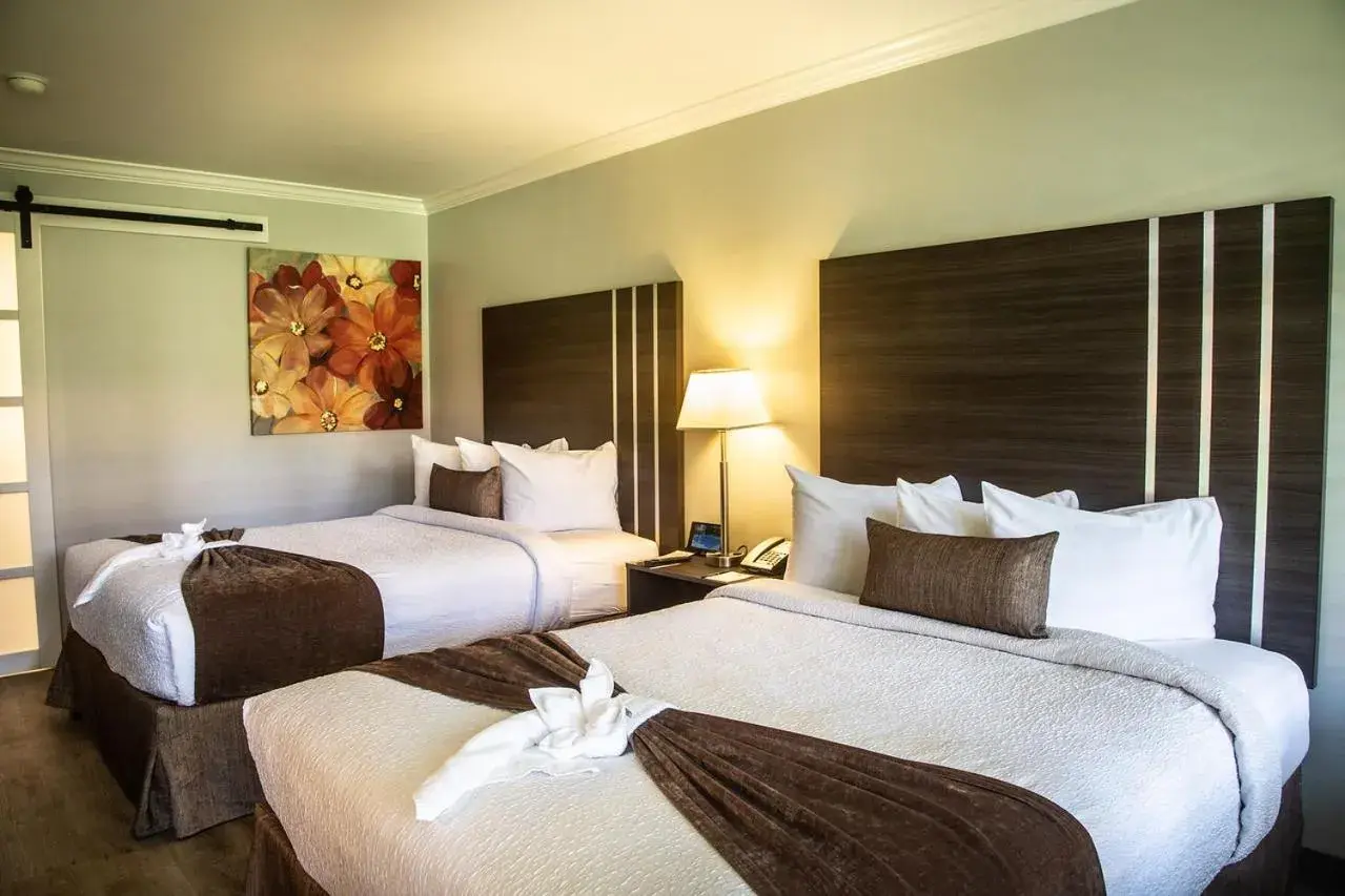 Standard Queen Room with Two Queen Beds in Palm Garden Hotel Standard Queen Room with Two Queen Beds in Palm Garden Hotel