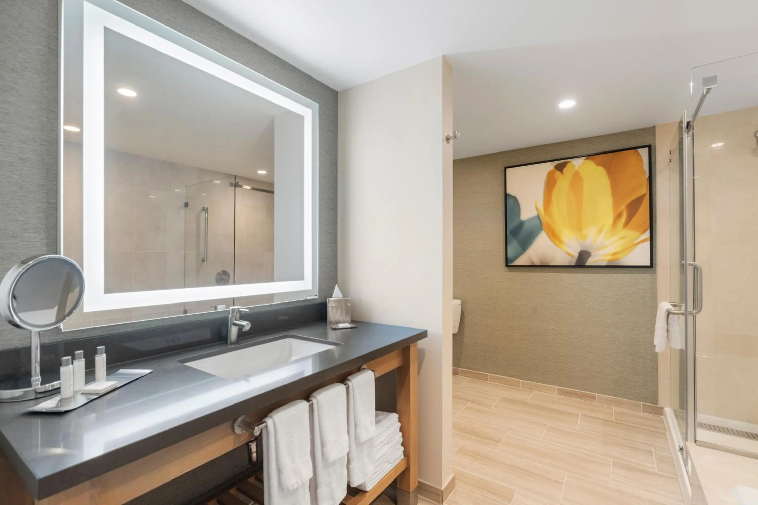 Toilet in Pala Mesa Resort