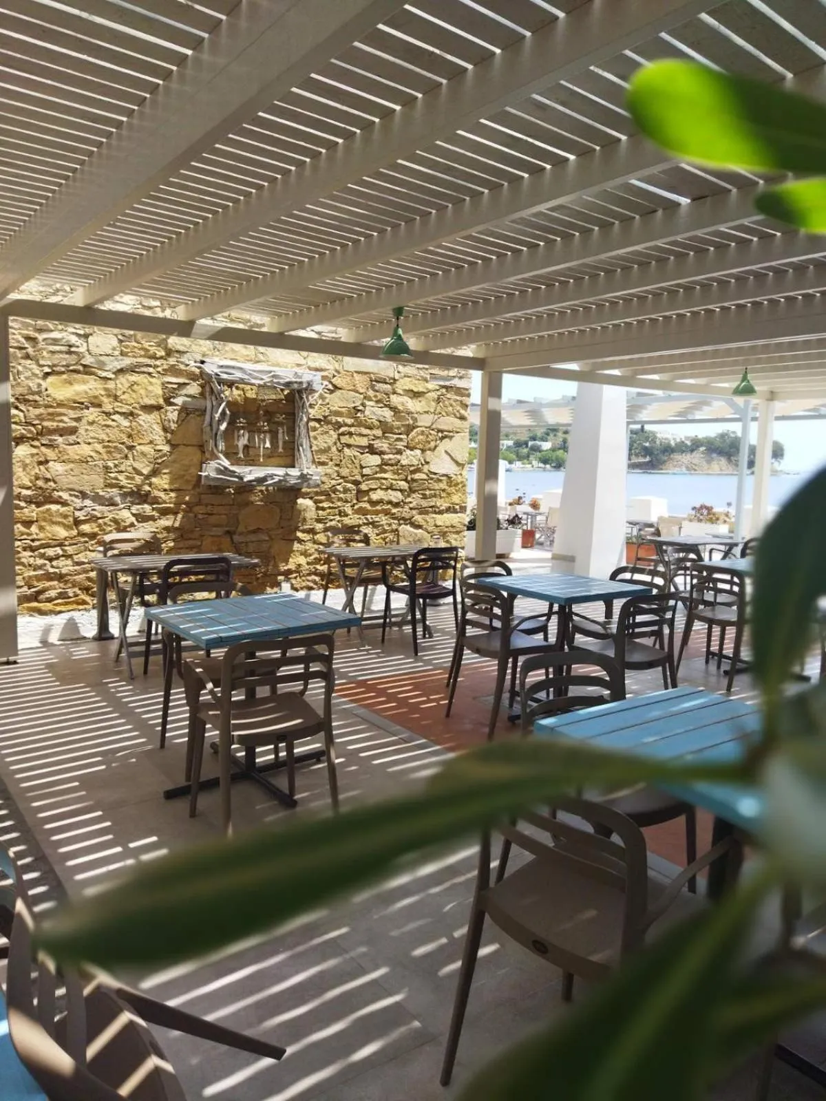 Garden in Alea Mare Hotel