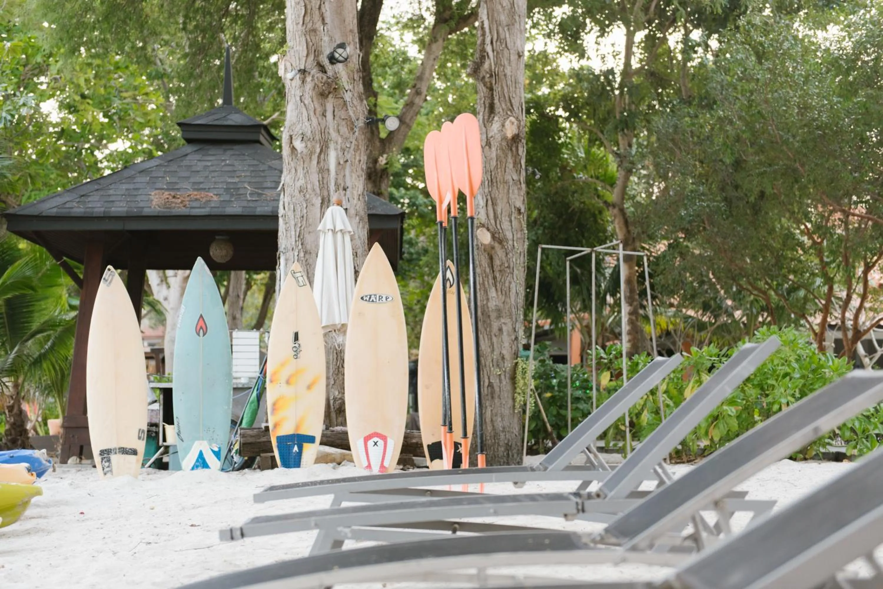 sunbed in Samed Tropical Resort