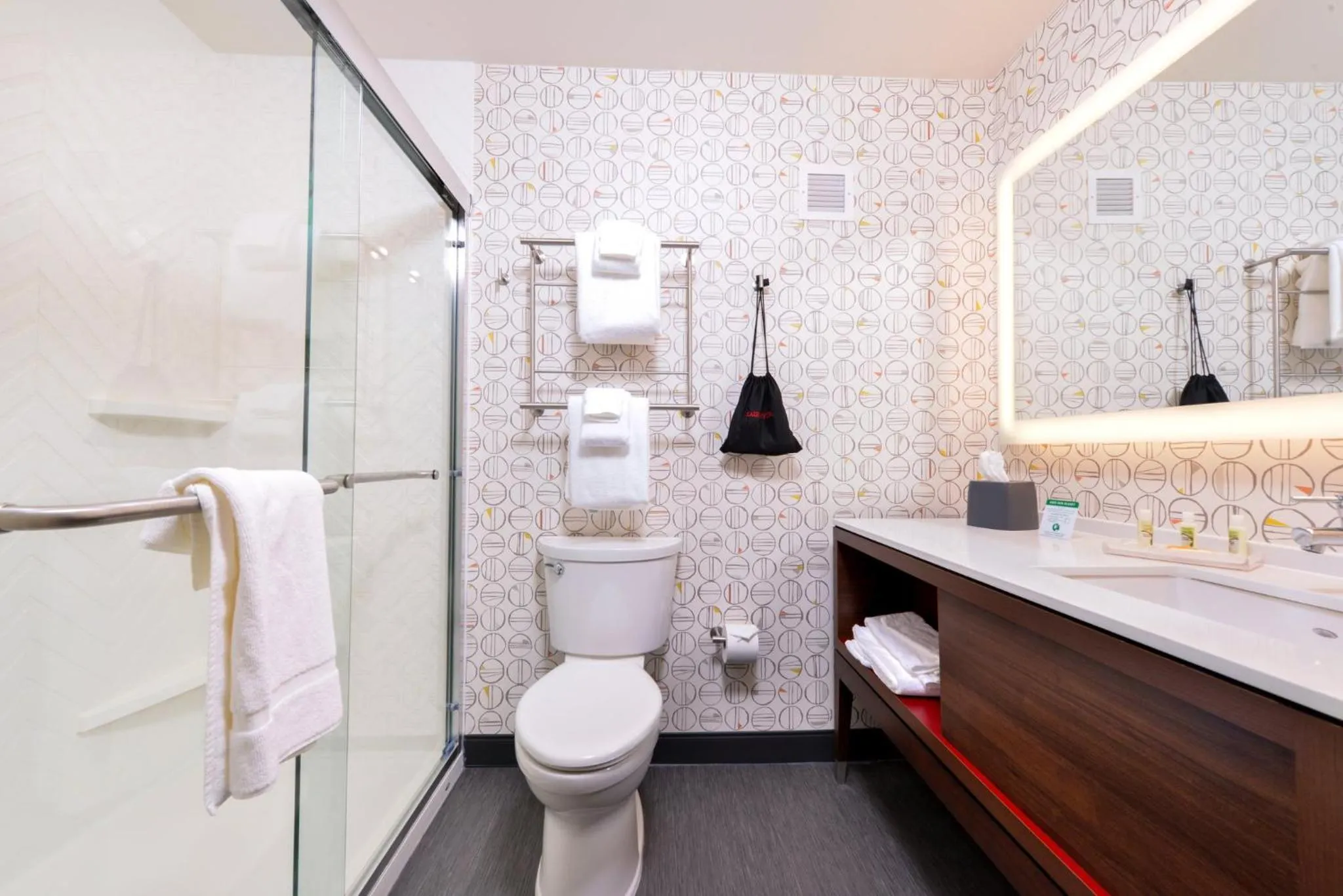 Bathroom in Holiday Inn Detroit Northwest - Livonia by IHG