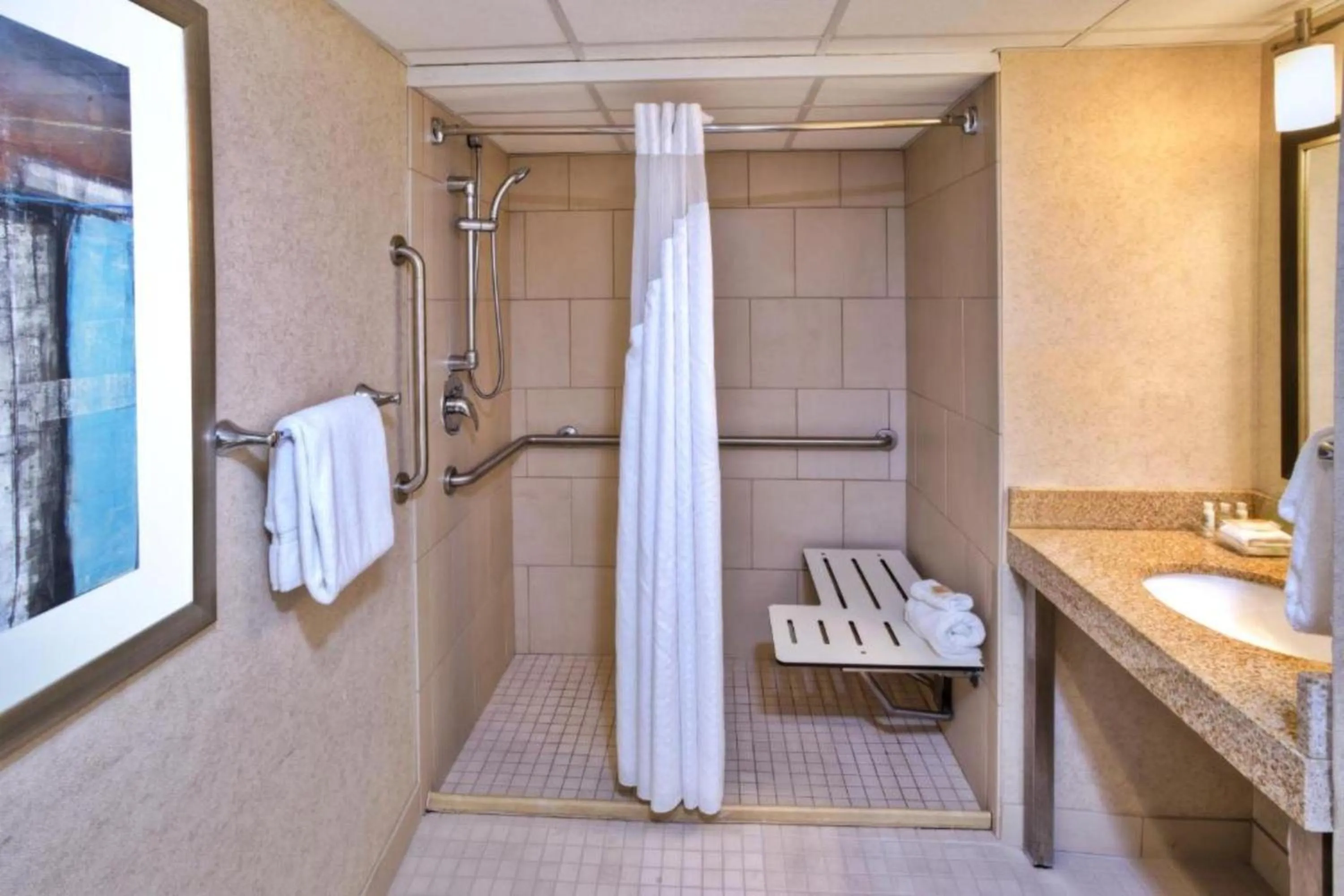 Bathroom in Holiday Inn Detroit Northwest - Livonia by IHG