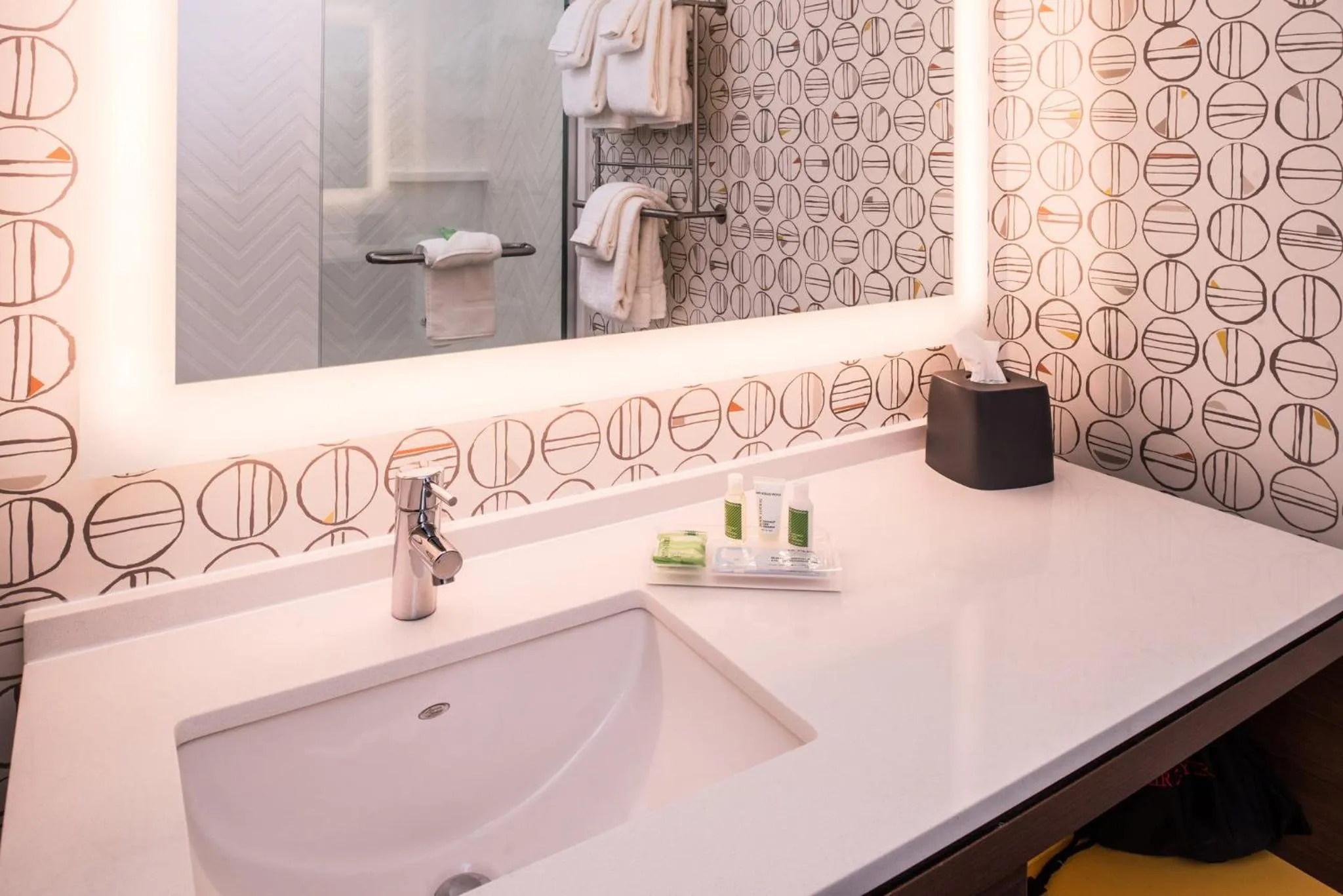 Bathroom in Holiday Inn Detroit Northwest - Livonia by IHG