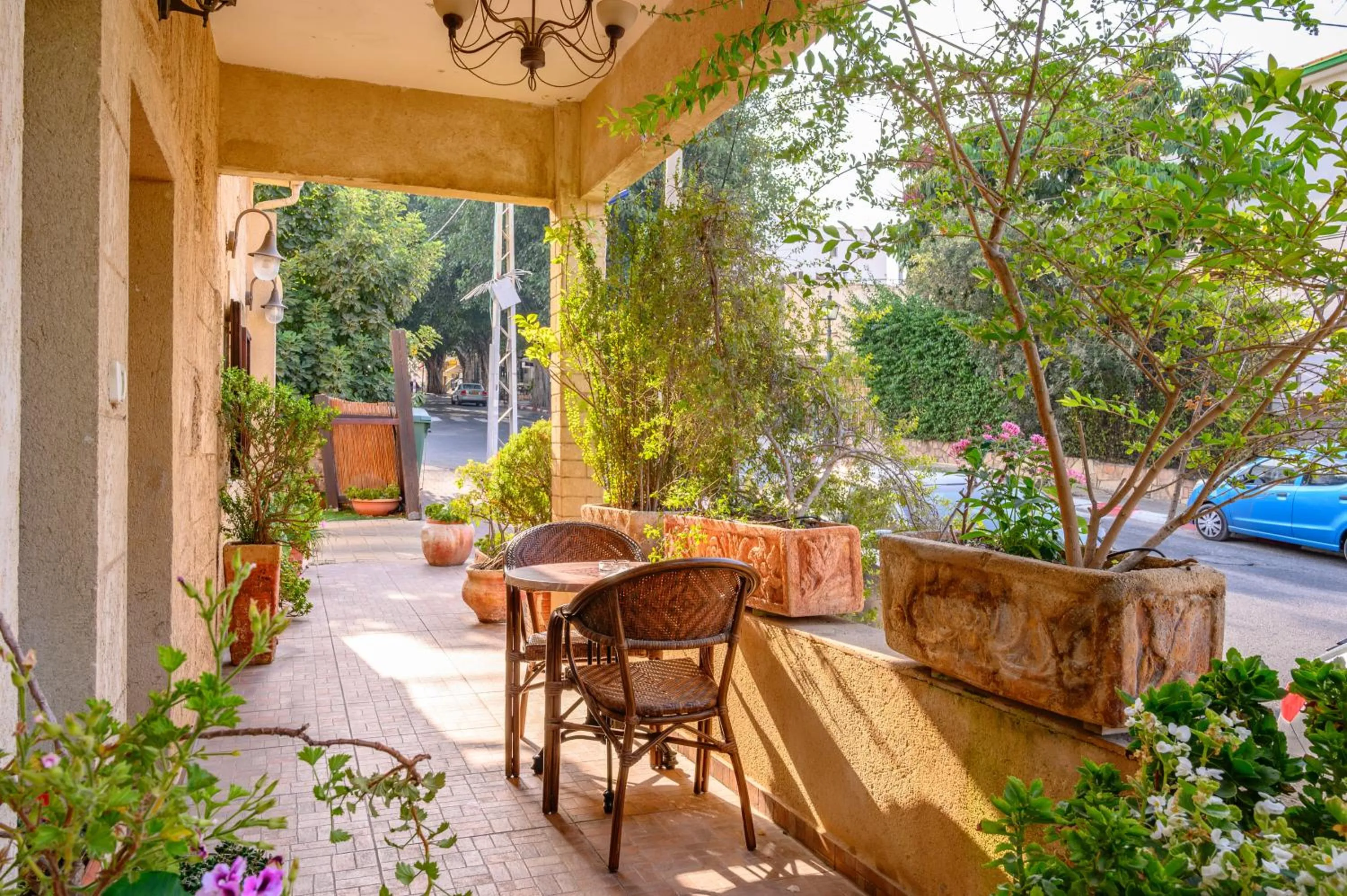 My Place in the Colony