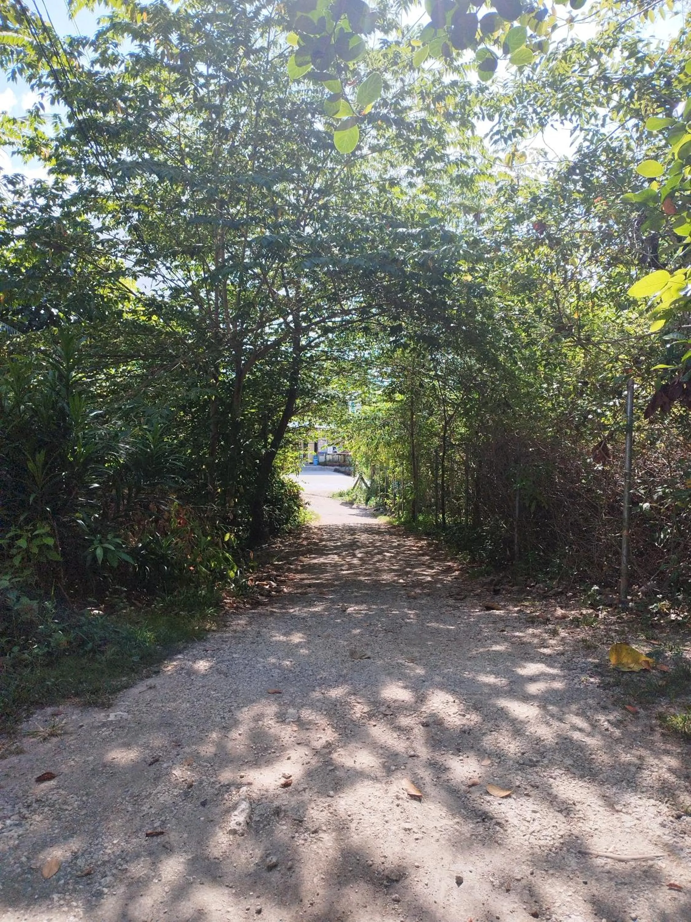 Natural landscape in GREENSPACE