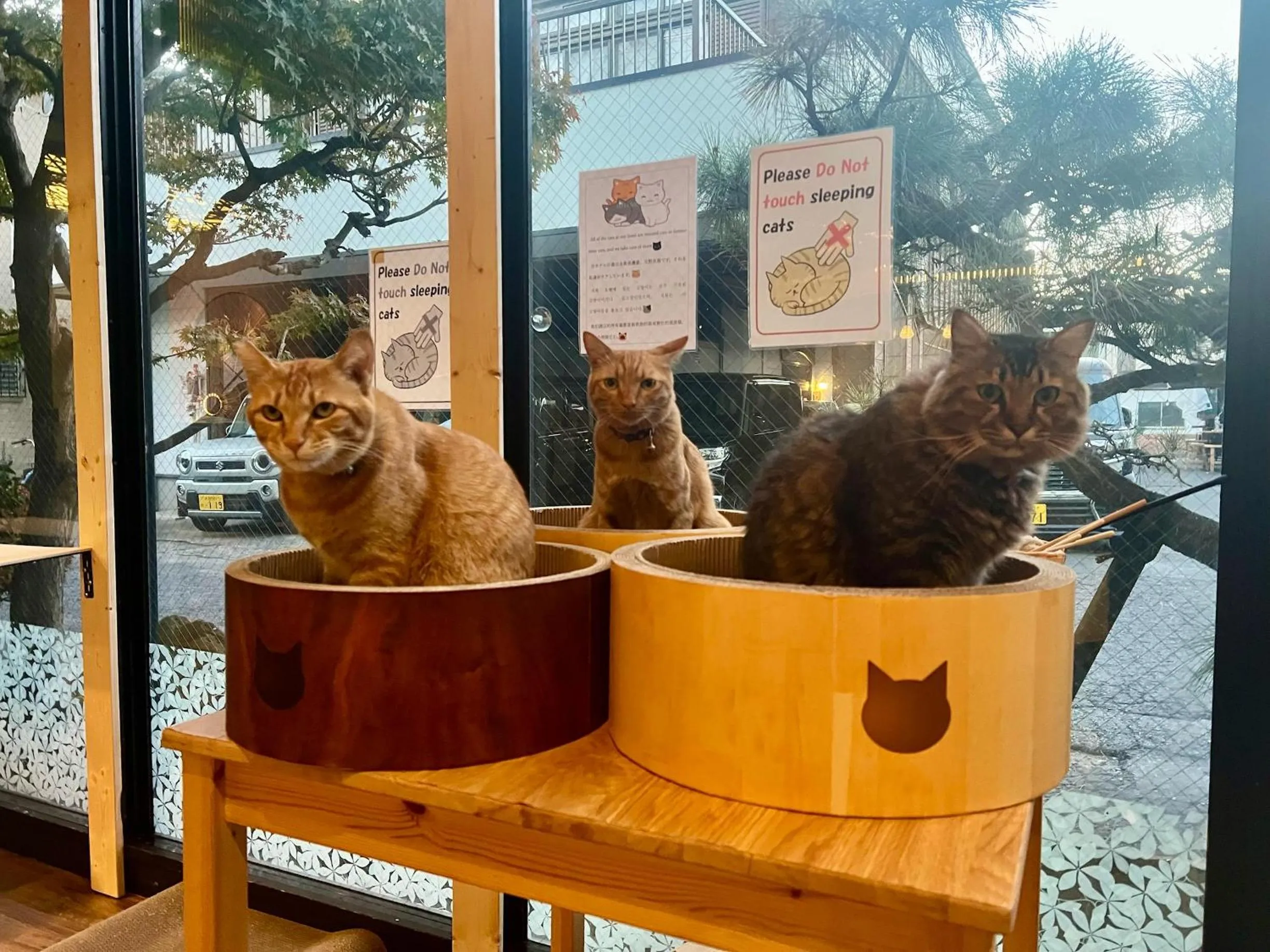Pets in Yufuin Akarinoyado