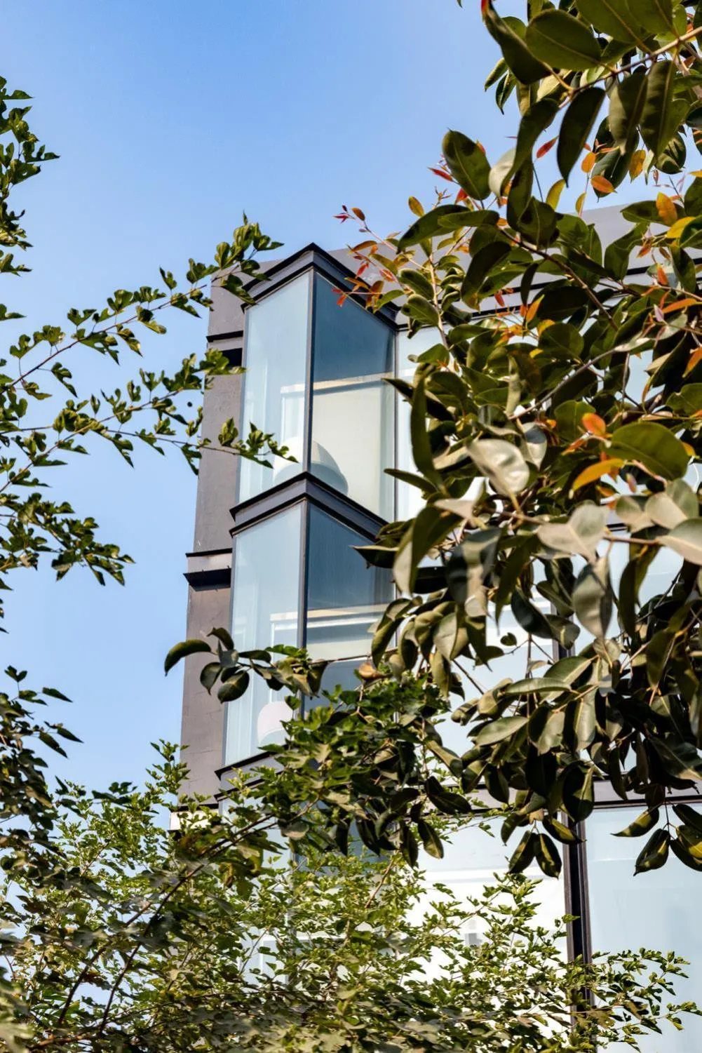 Property building in NUO By juSTa