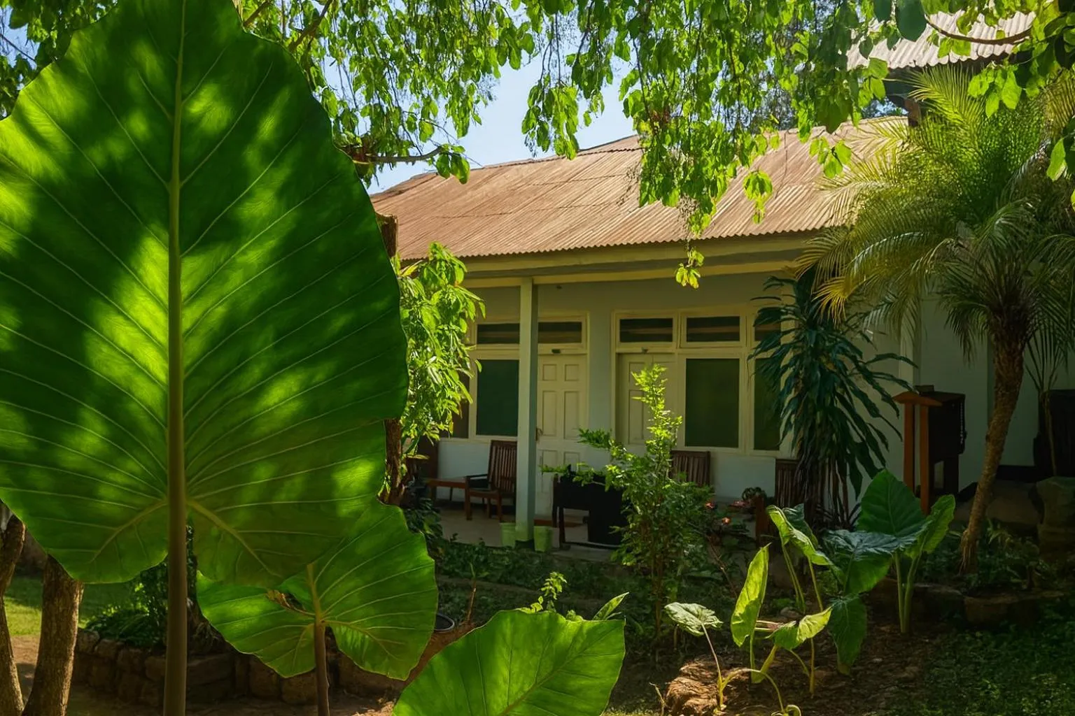 Garden in Bajo Hotel
