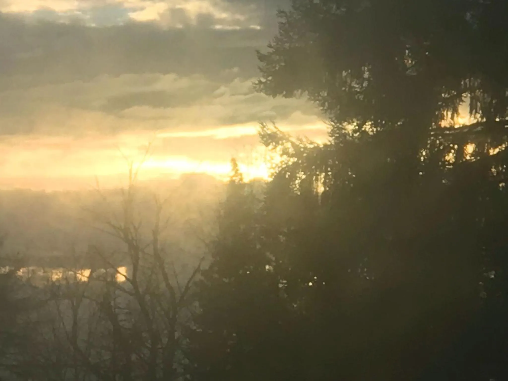 View (from property/room) in Panorama Hotel Pension Frohnau