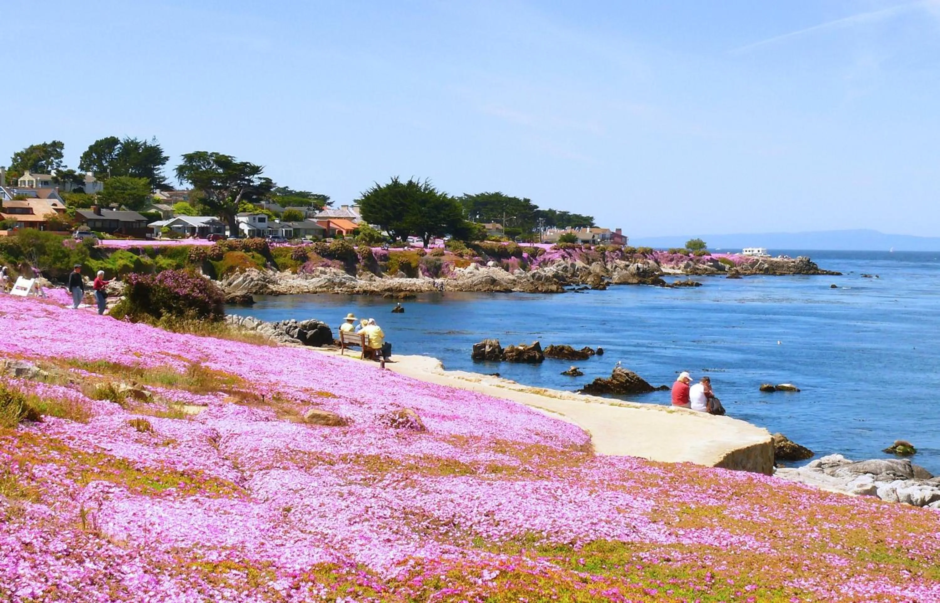Area and facilities in Sea Breeze Inn - Pacific Grove