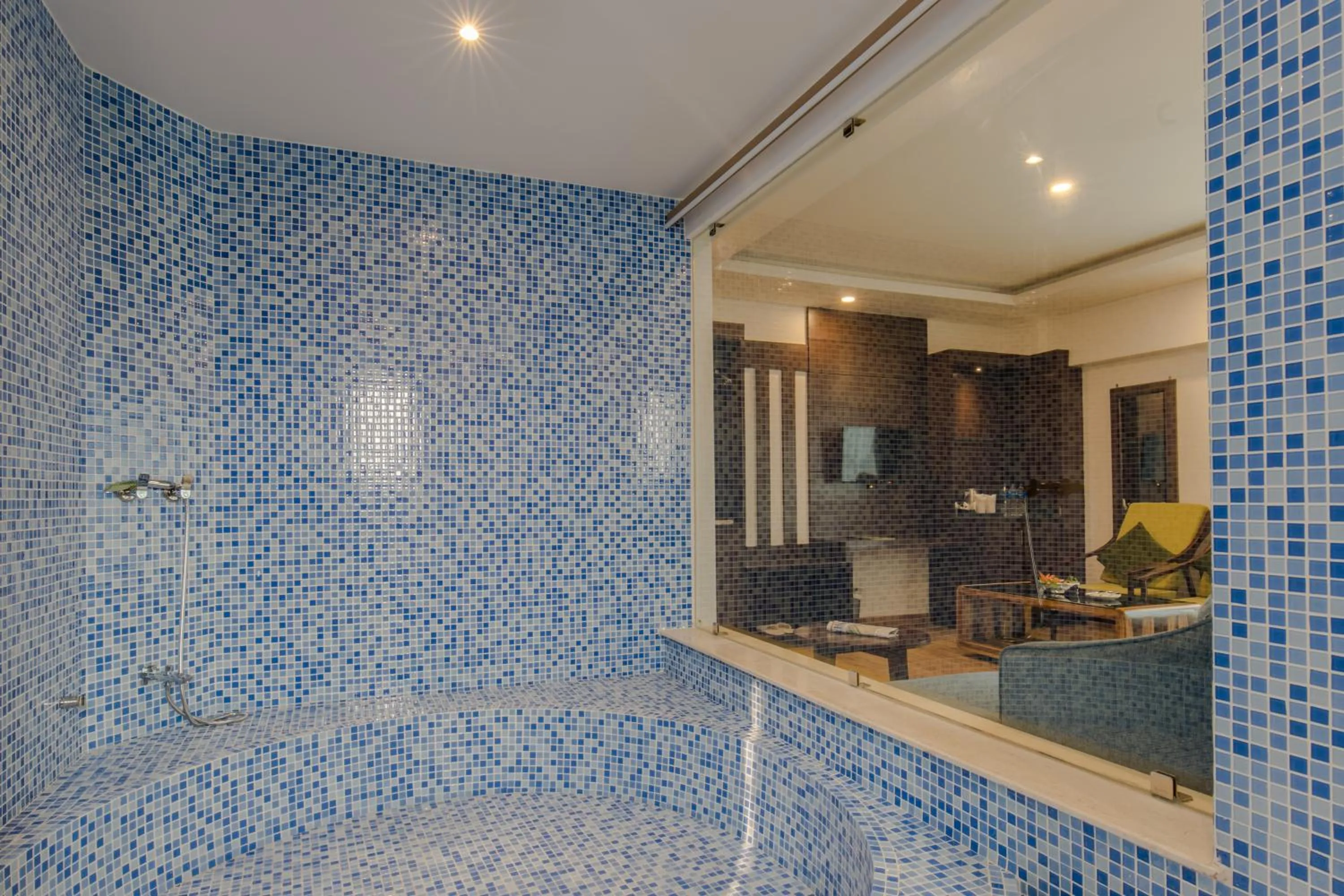 Shower in Mourya Hotel