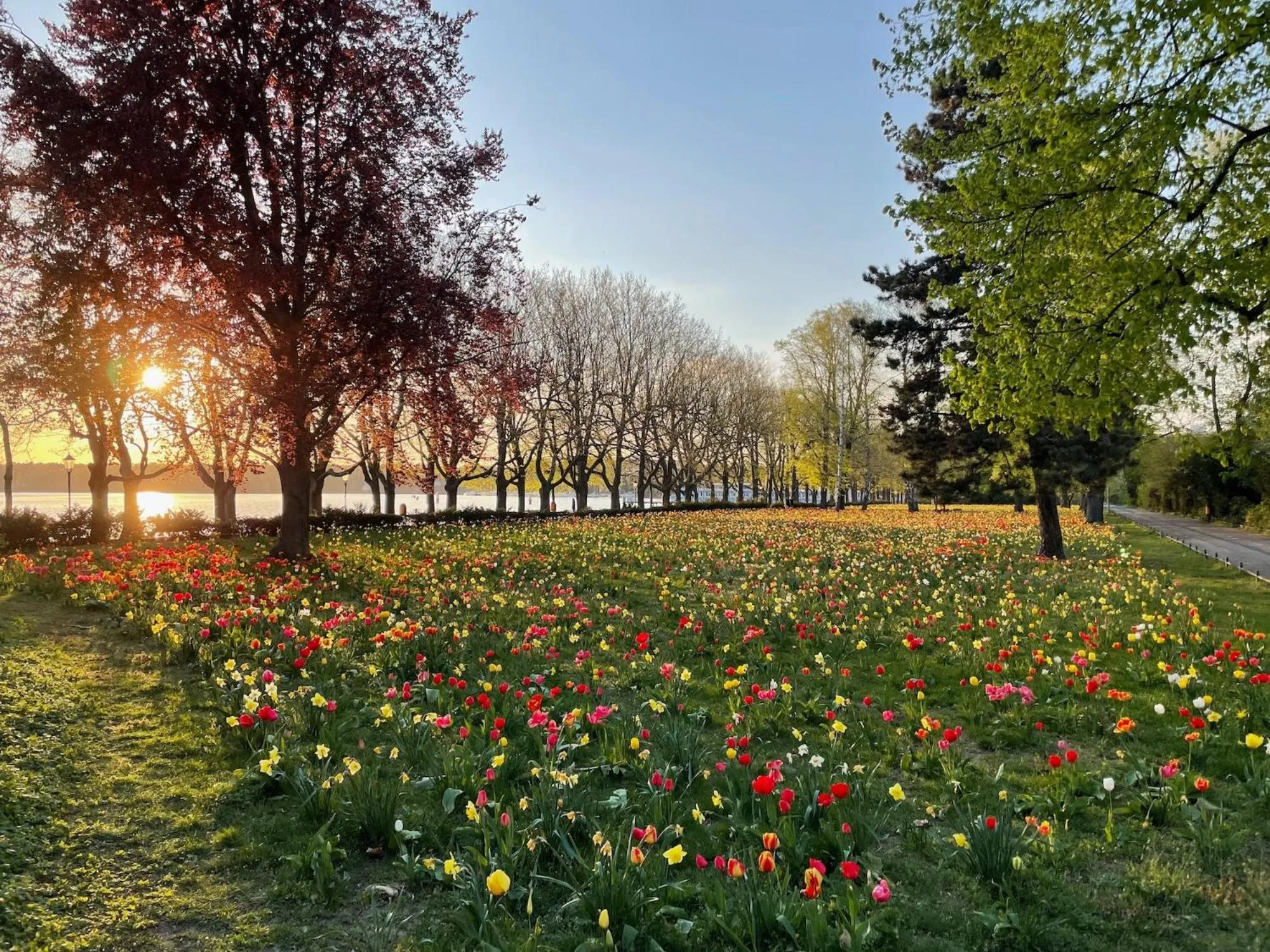 Area and facilities in Hotel am Borsigturm