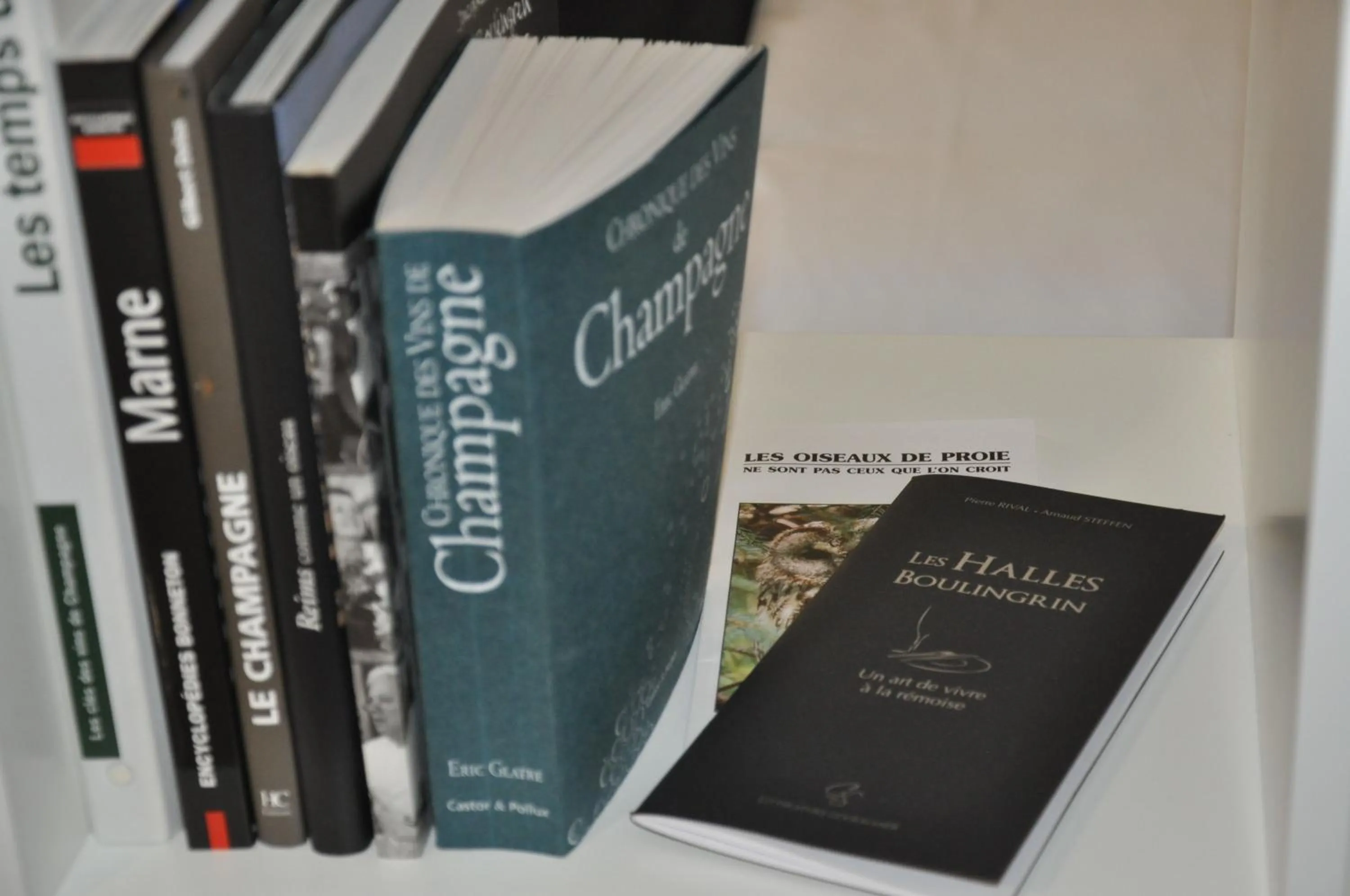 Library in LE NID DES HALLES, au cœur du Boulingrin