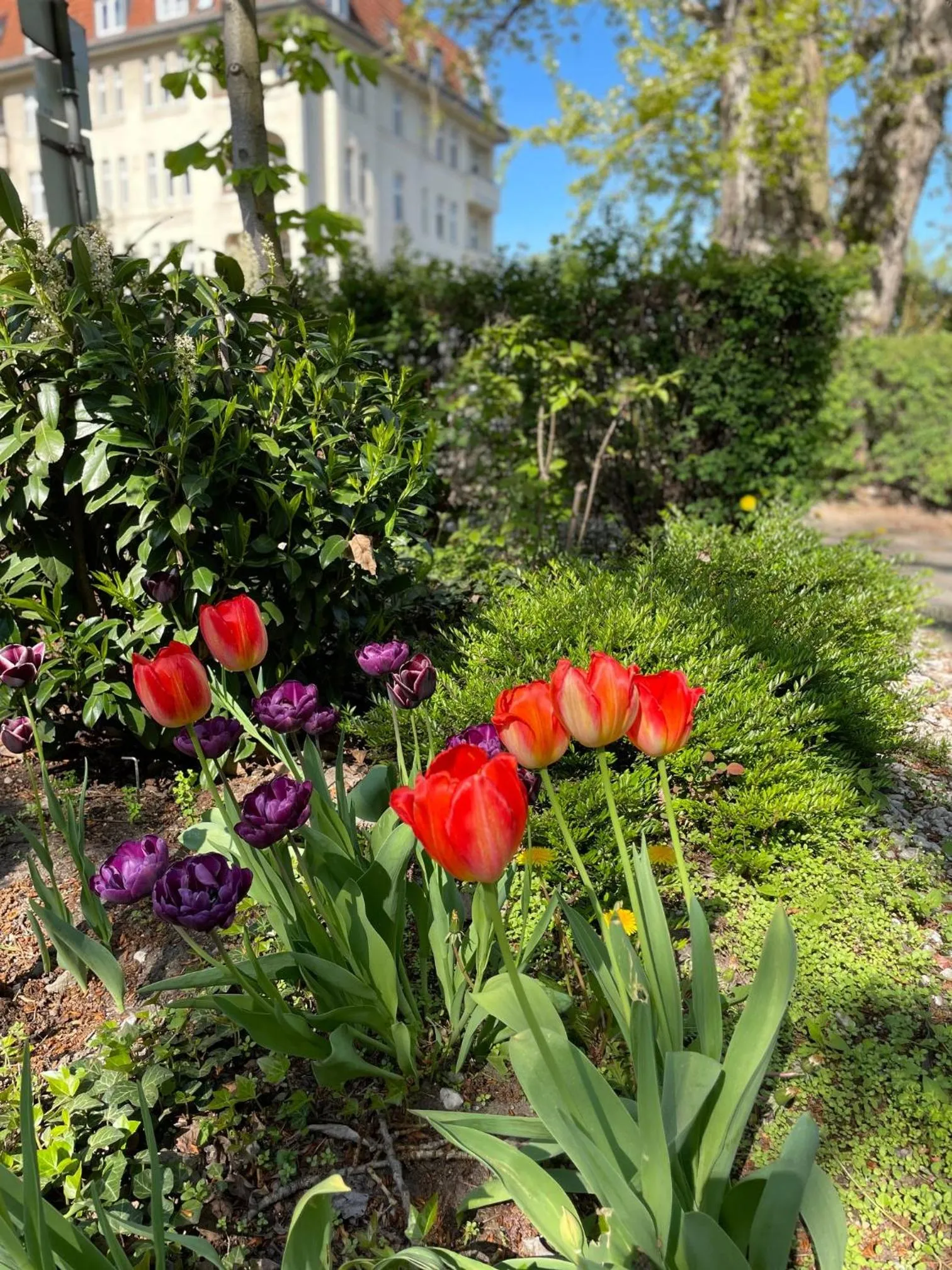 Garden view in SensCity Hotel Berlin Spandau