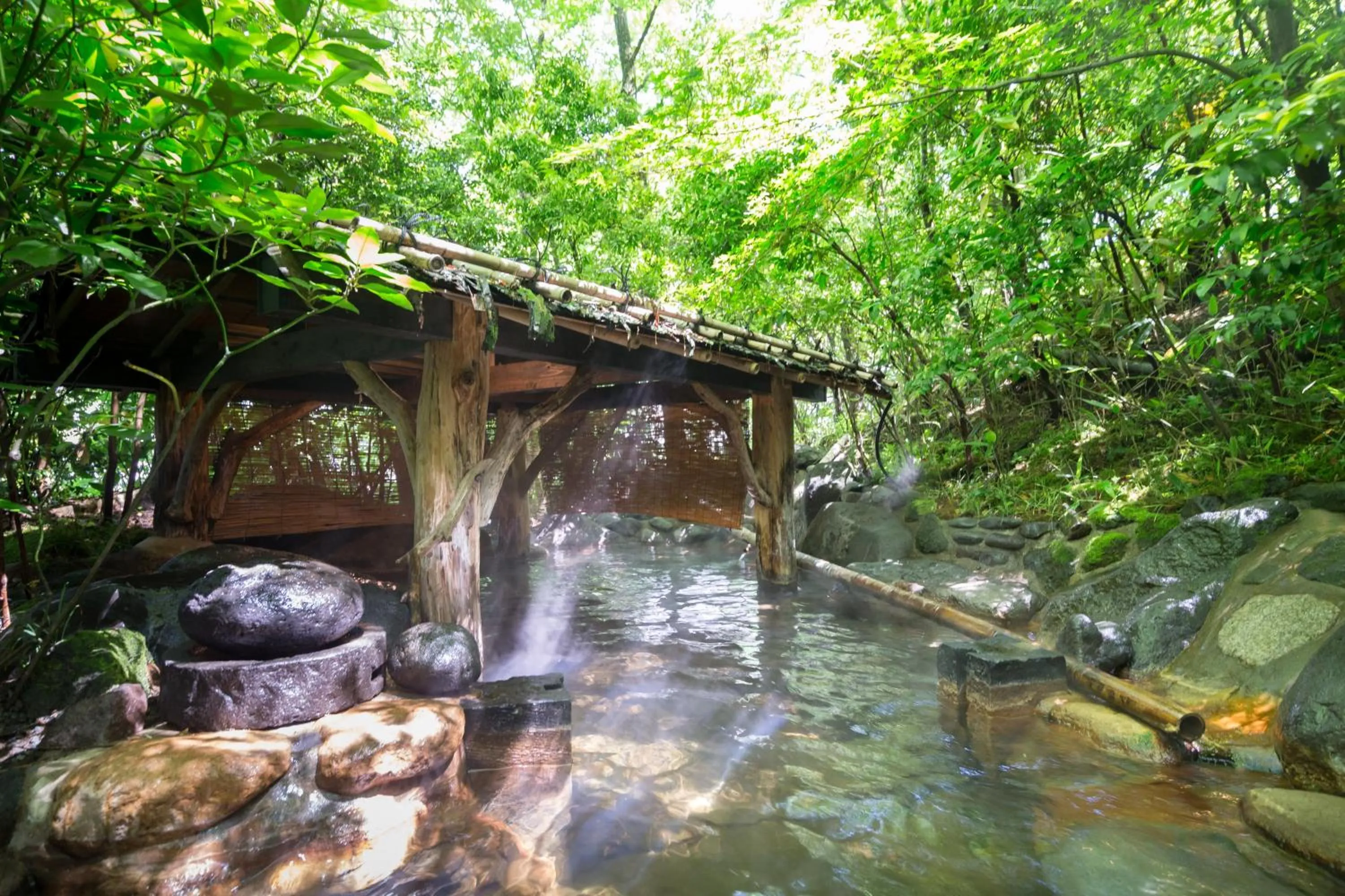 Hot Spring Bath in inn NOSHIYU