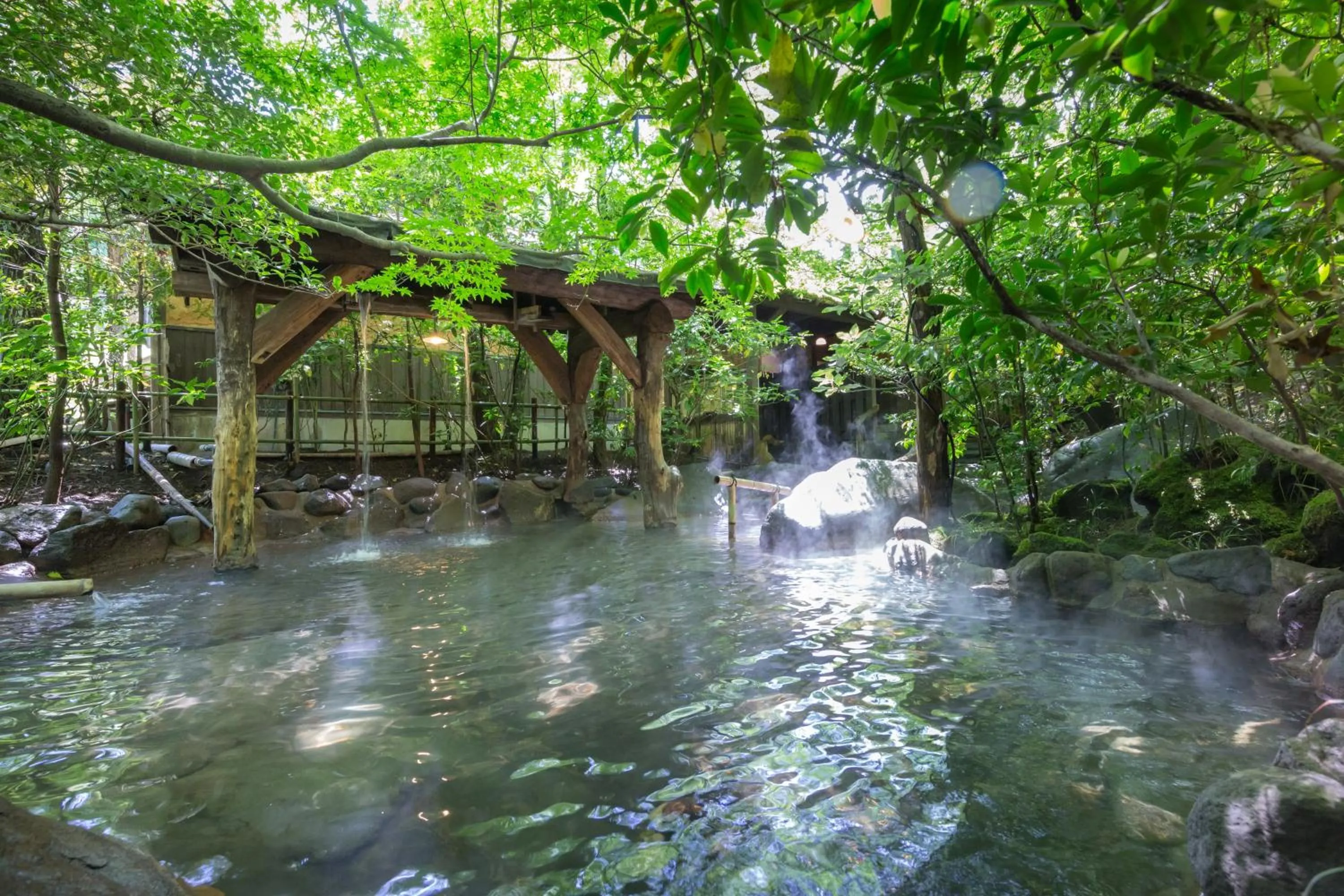 Hot Spring Bath in inn NOSHIYU